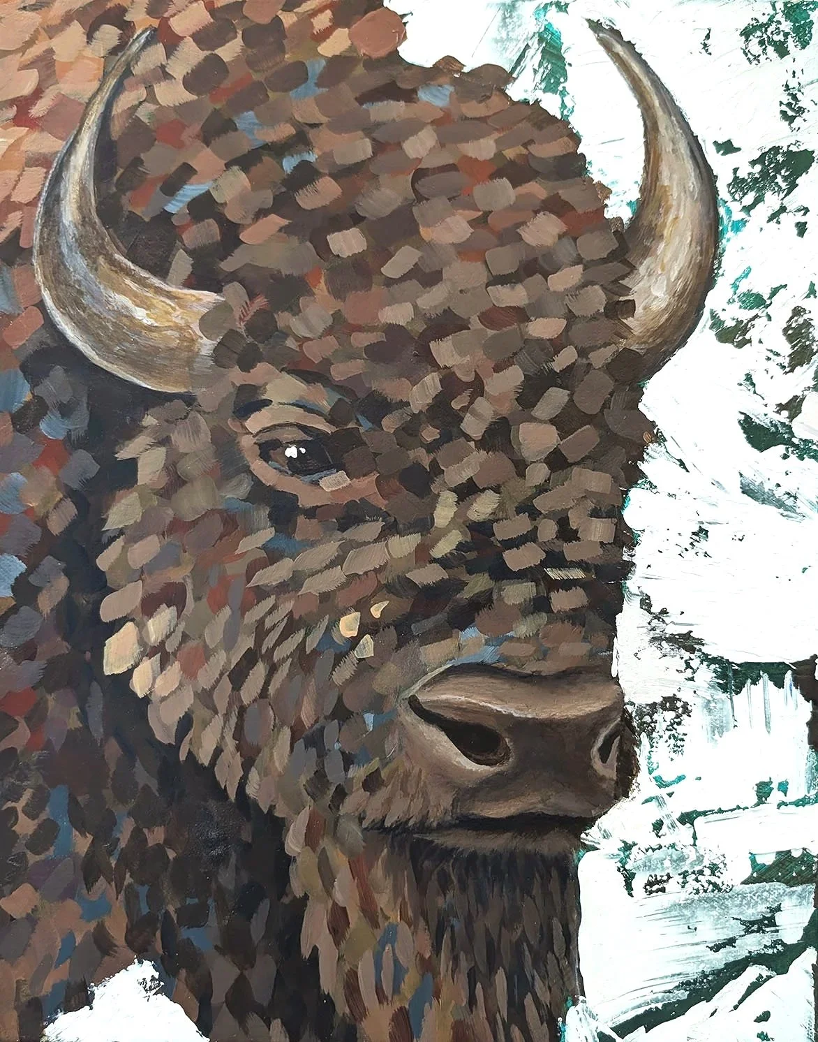 North+American+Bison.jpg