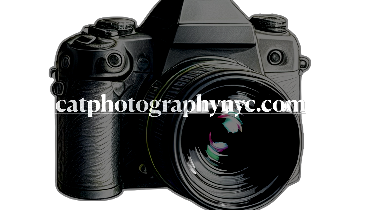 Catphotographynyc.com                                       