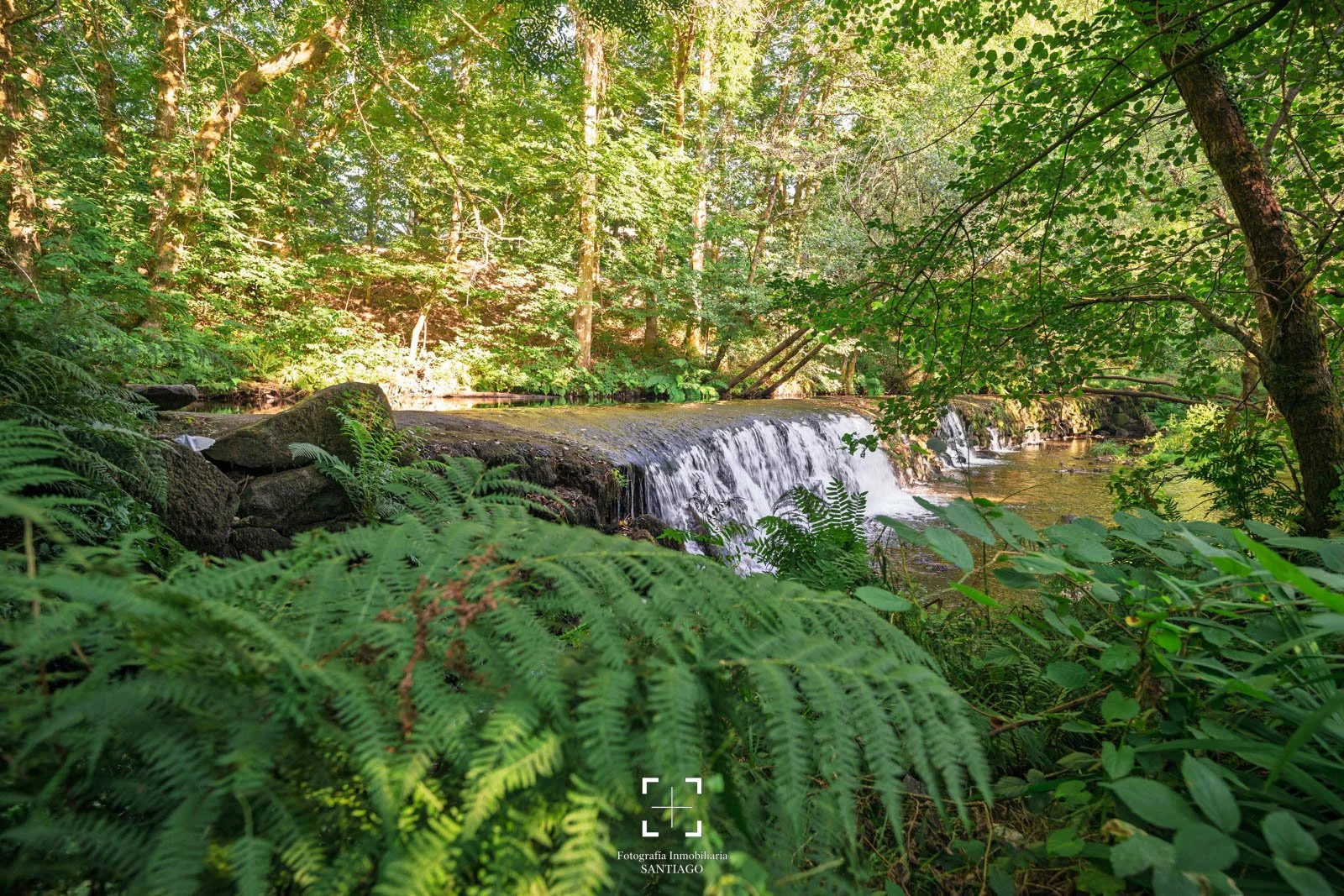 _DSC3572.jpg