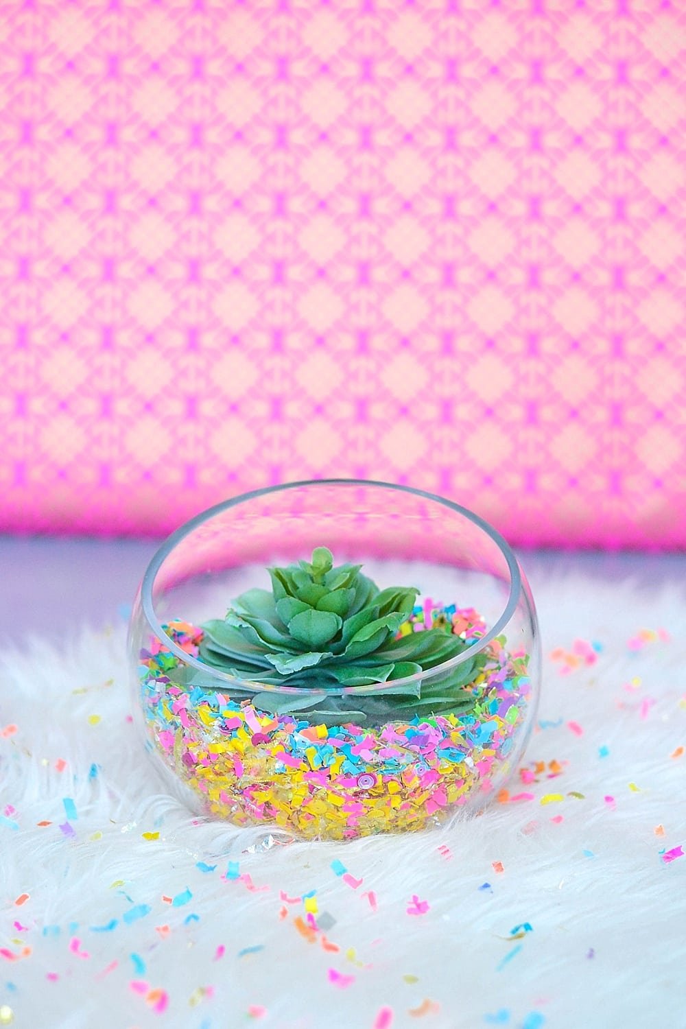 Make Your Own Colorful Confetti Succulent Terrarium — The Confetti Bar