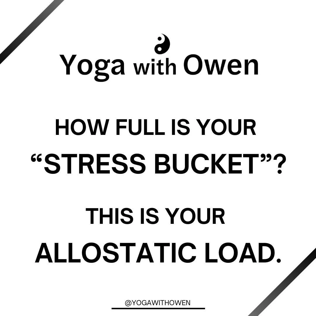 We all have an allostatic load, but what does that mean?

It is often described as a bucket being filled with water. When the bucket is full to capacity, it begins to overflow, causing a mess as it can no longer cope with the amount of water being pu