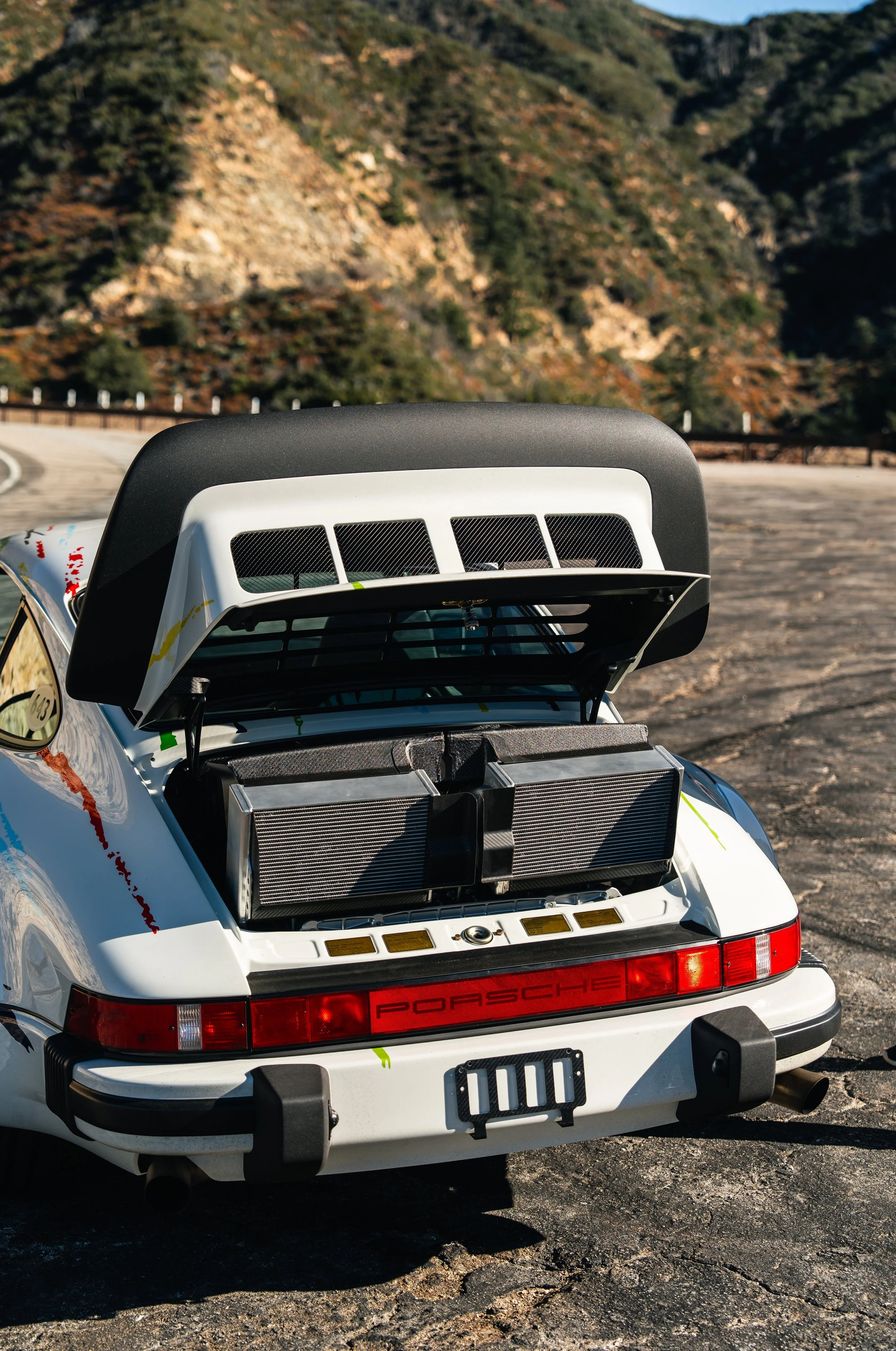 DSC06264 low res.jpg