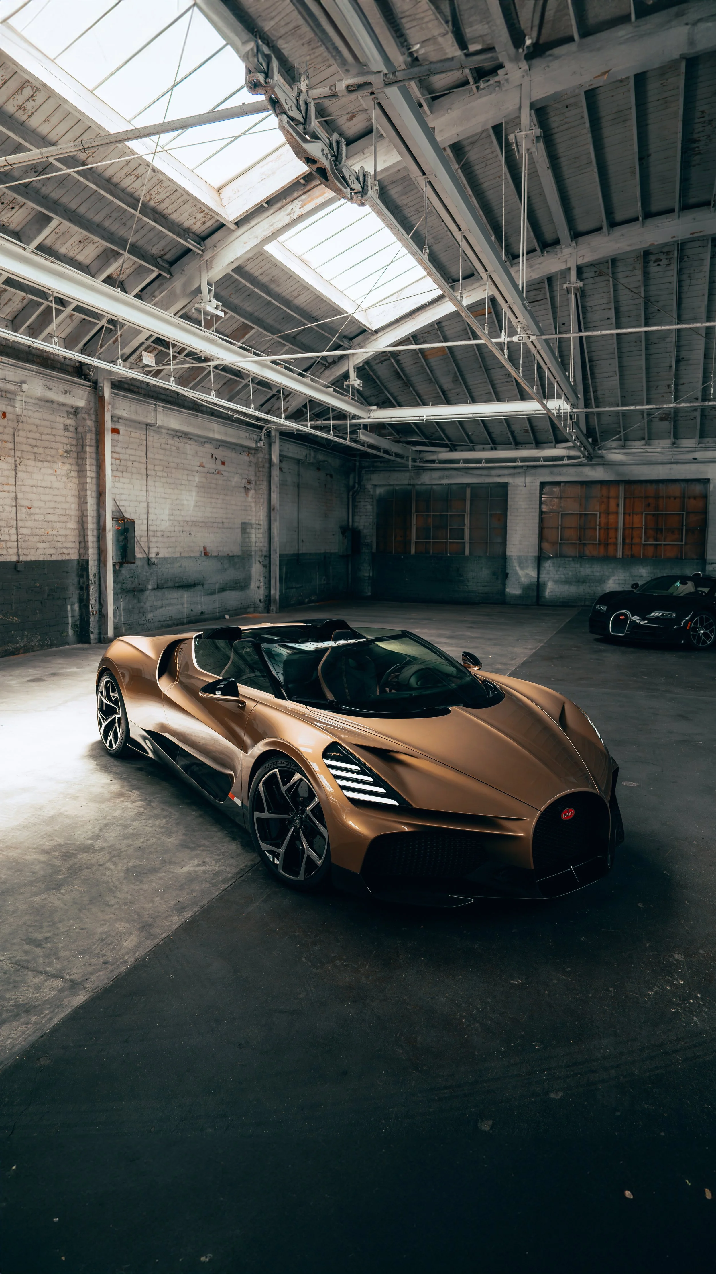 DSC08230-Enhanced-NR 9x16.jpeg