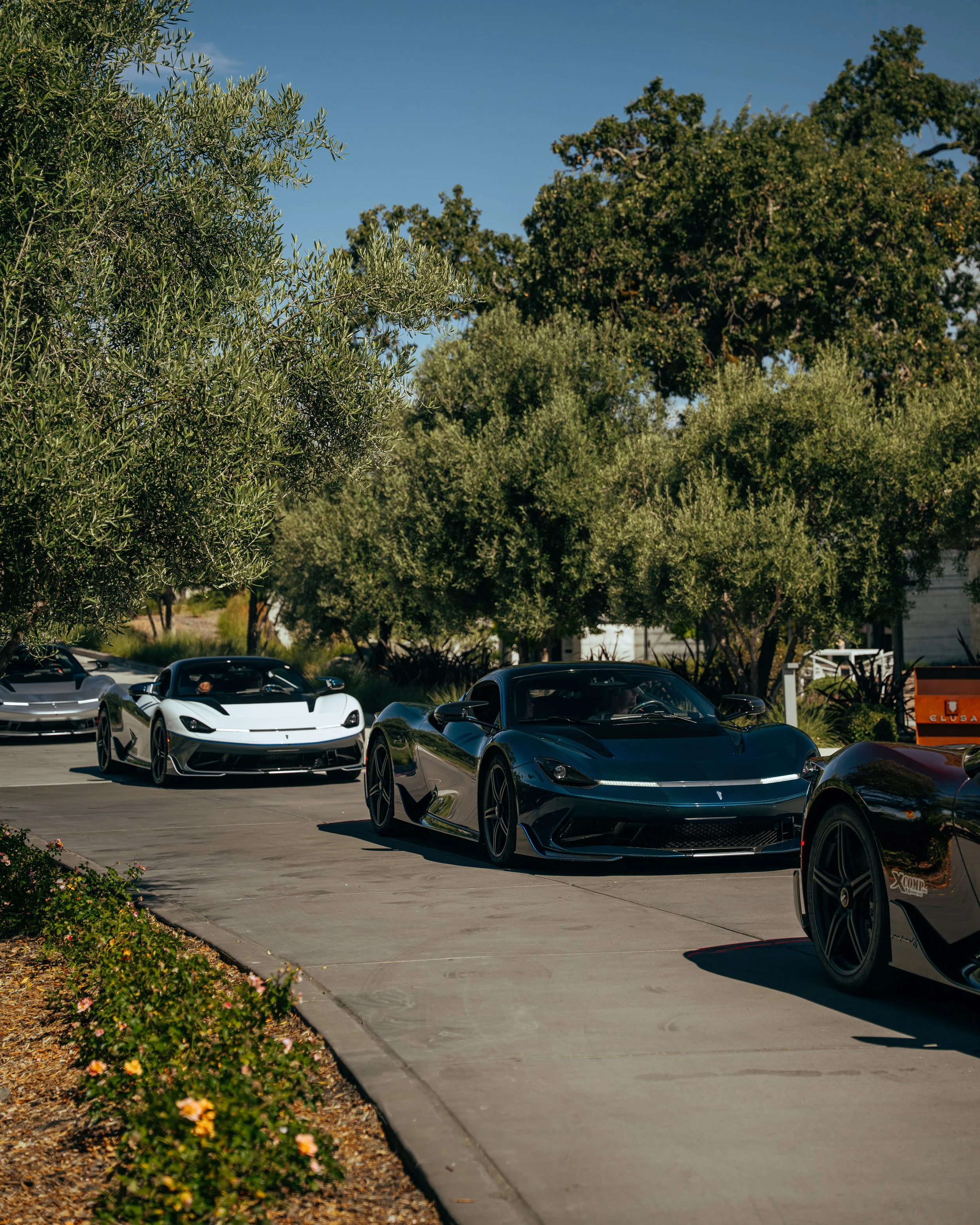 DSC00258.jpg