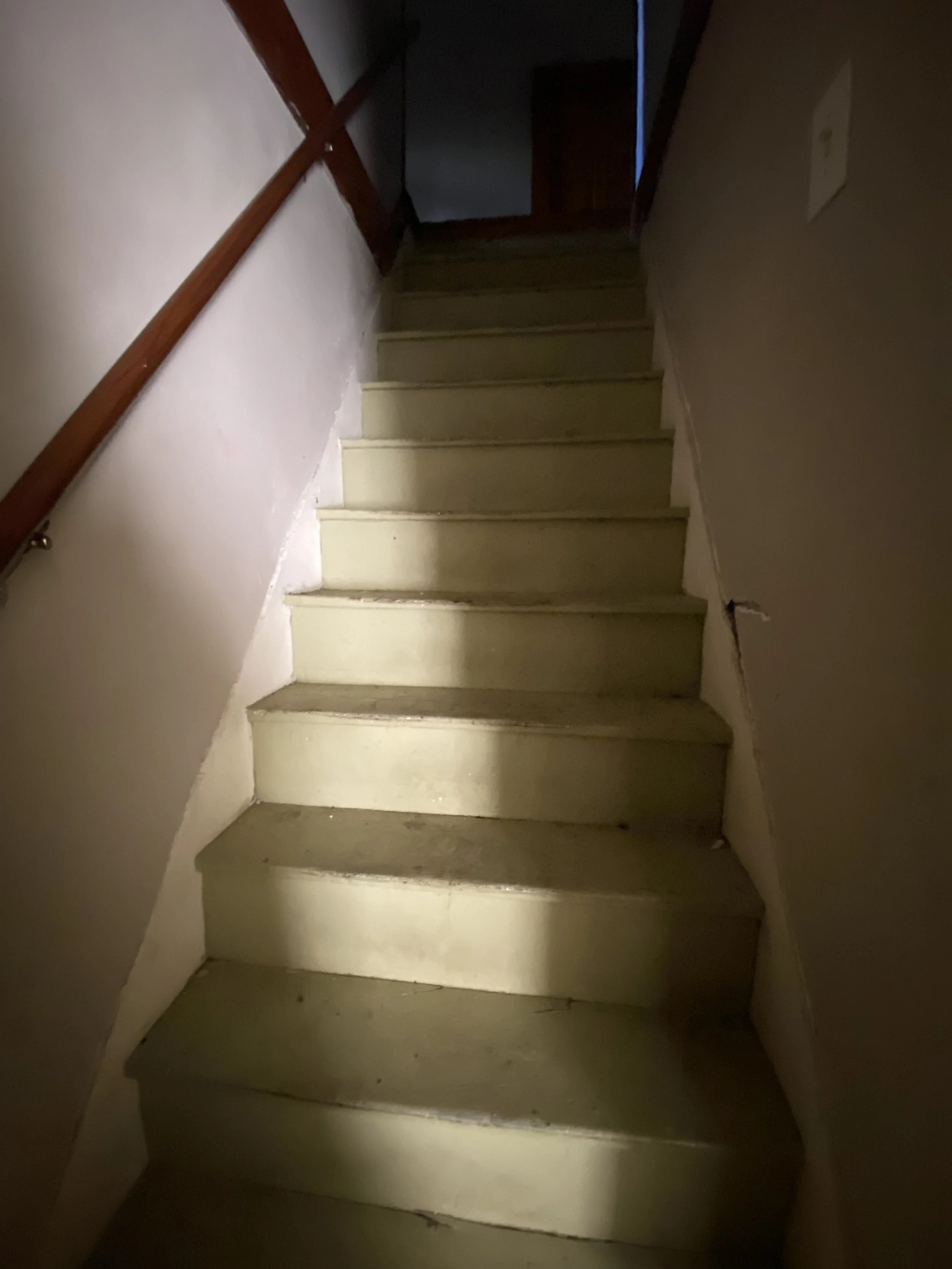 IMG_7519.jpeg