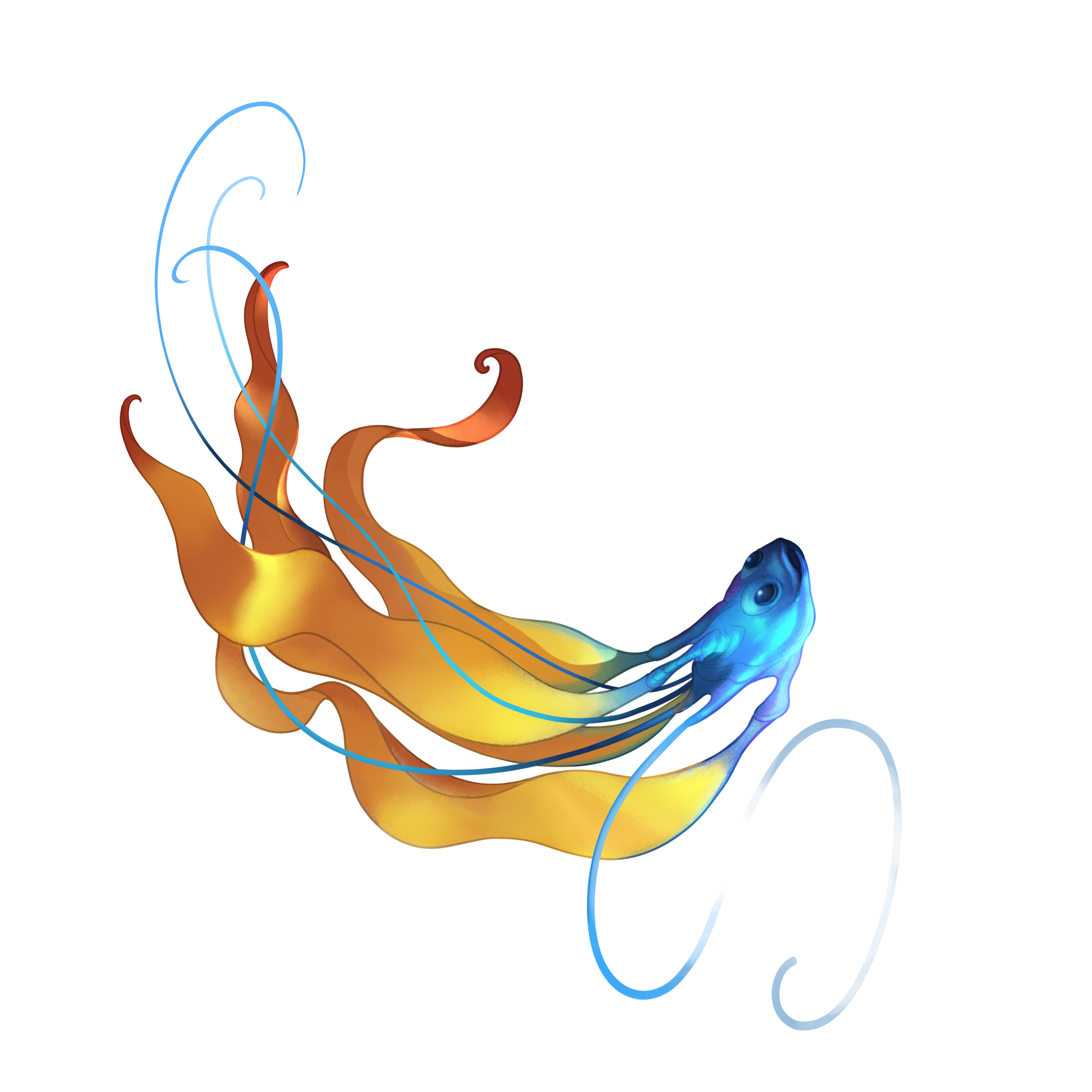 Diagram of a squid with its internal organs, including the brain, stomach, and tentacles, displayed alongside the different layers of its anatomy.