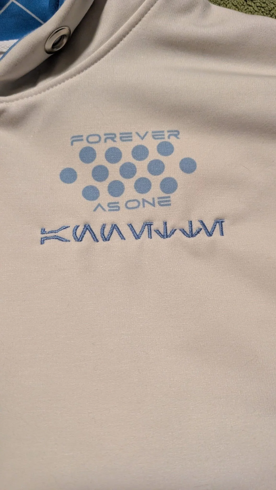 CUSTOM EMBROIDERED Starcruisers Iconic Sleeve Hoodie!