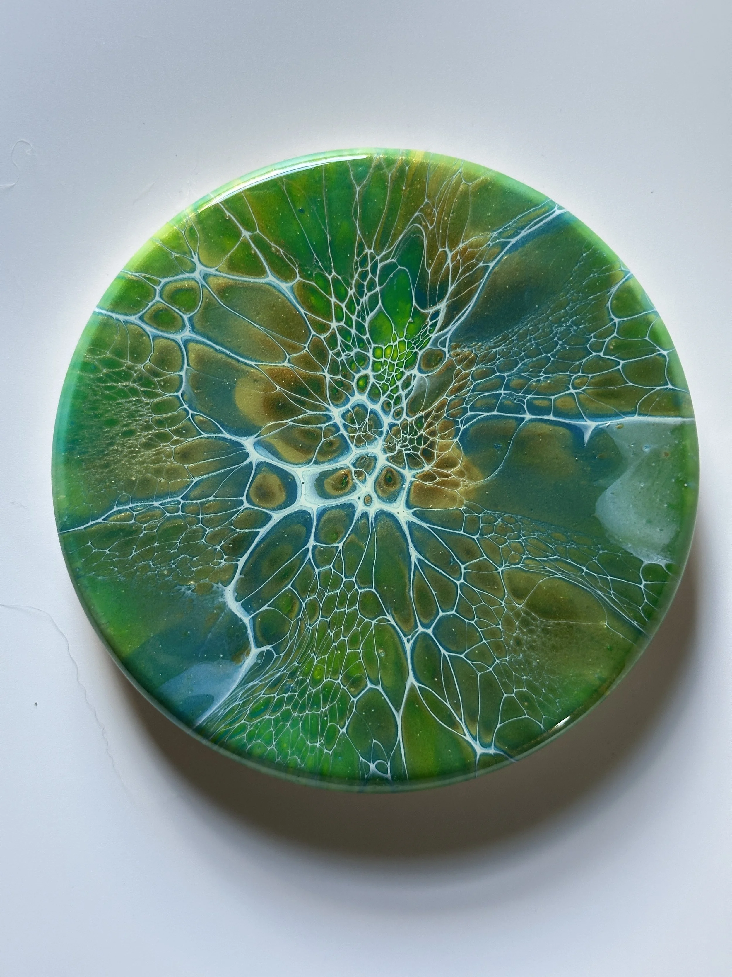 527-6" Acrylic Bloom Base