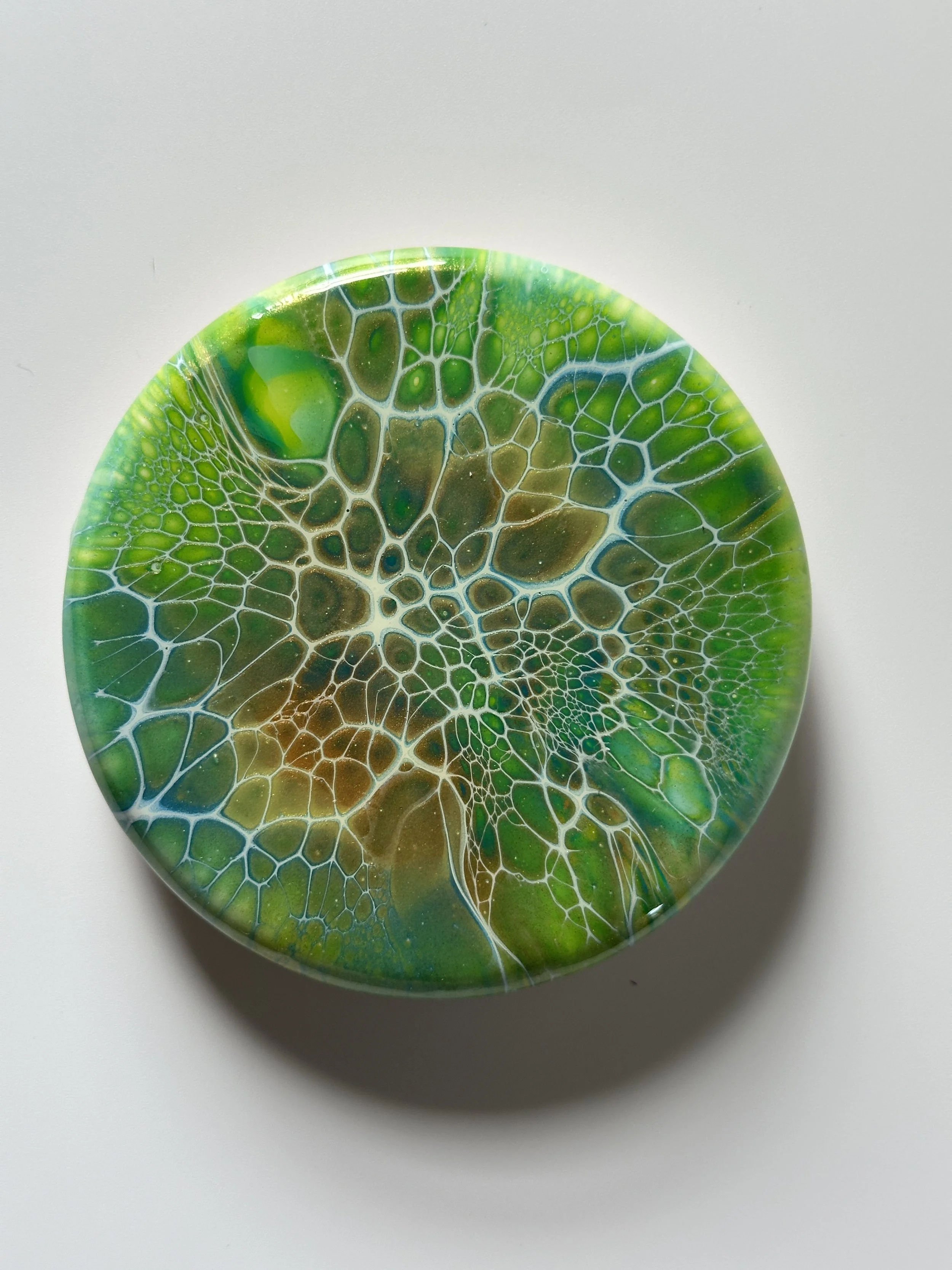 557-4" Acrylic Bloom Base