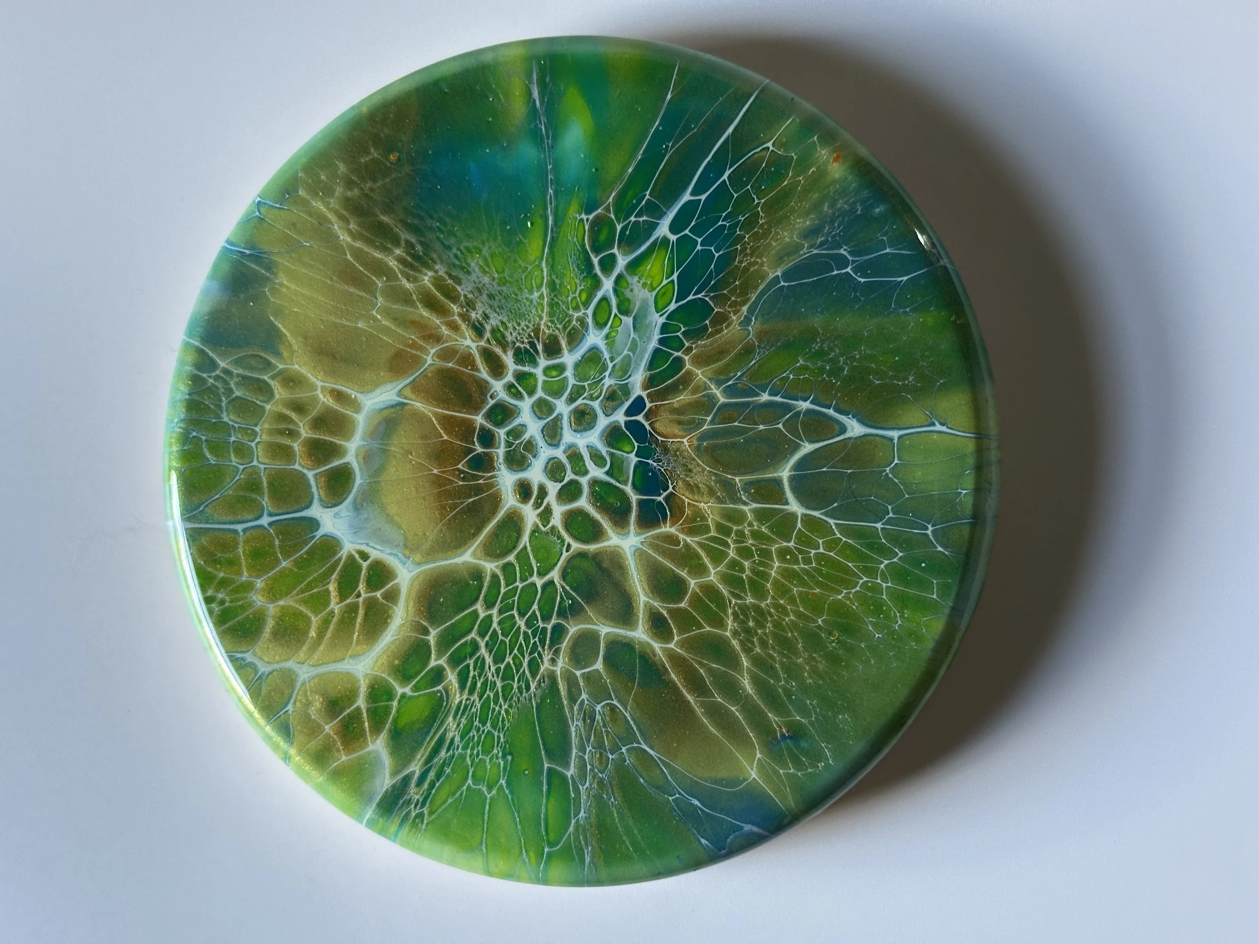 523-6" Acrylic Bloom Base