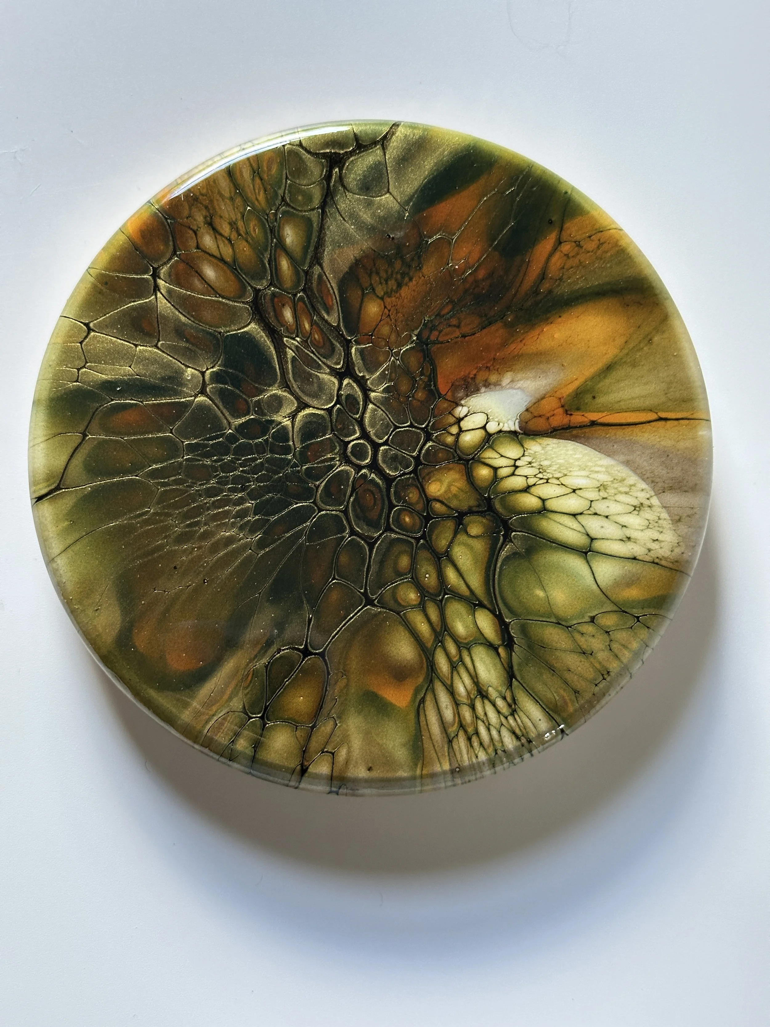 533-6" Acrylic Bloom Base