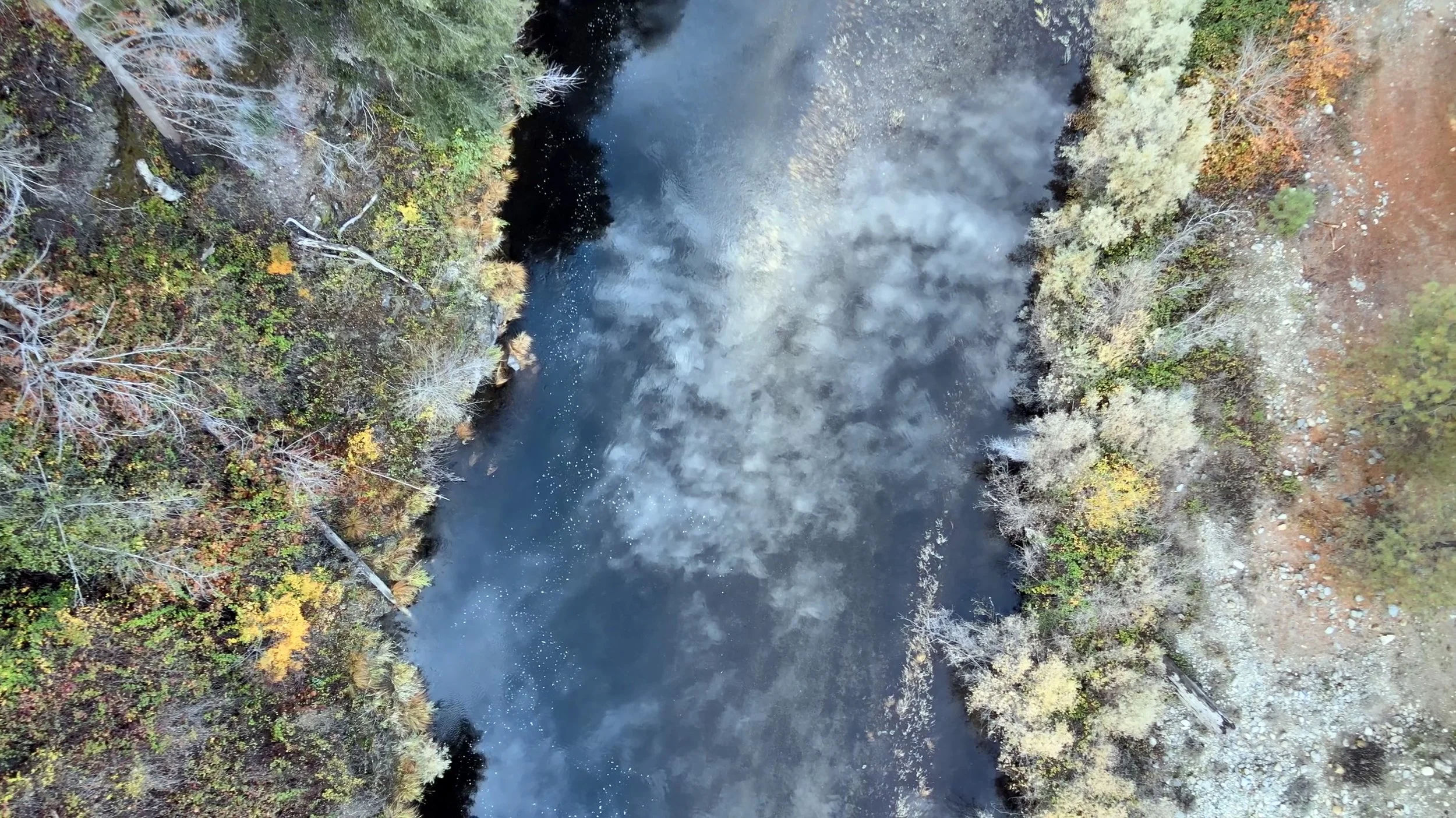 View of Scott River with Reflection.jpg
