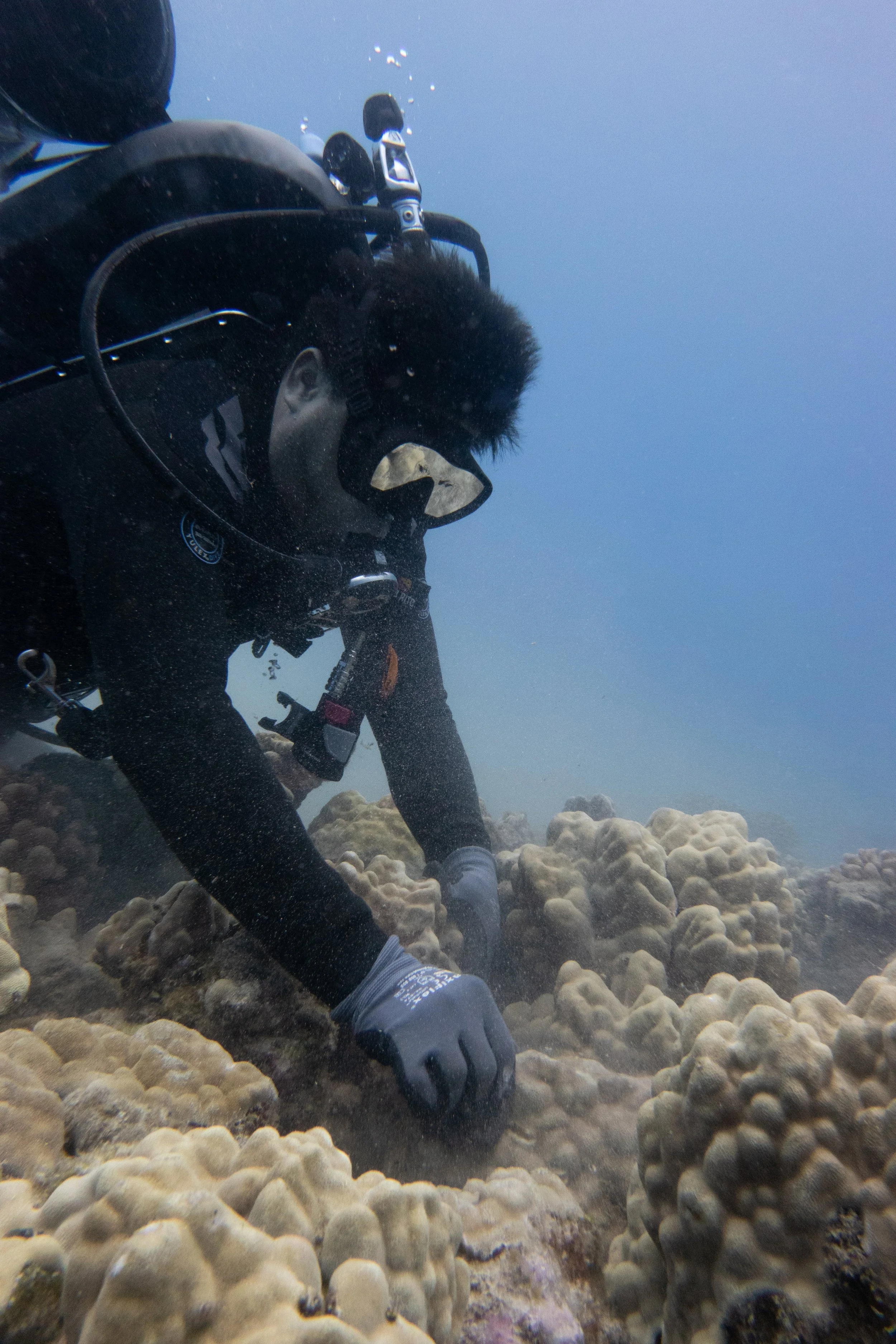 10 Ways to Care for Coral