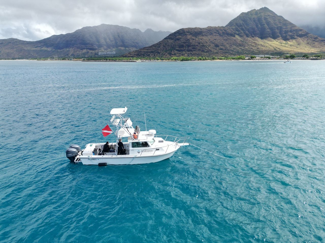 Reef Roundup: Coral Restoration in Hawaiʻi, Q2 2026