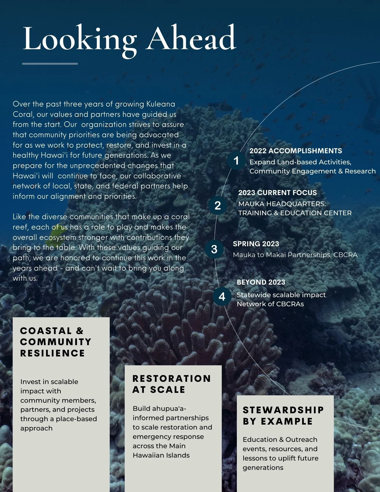 Looking ahead at coral restoration