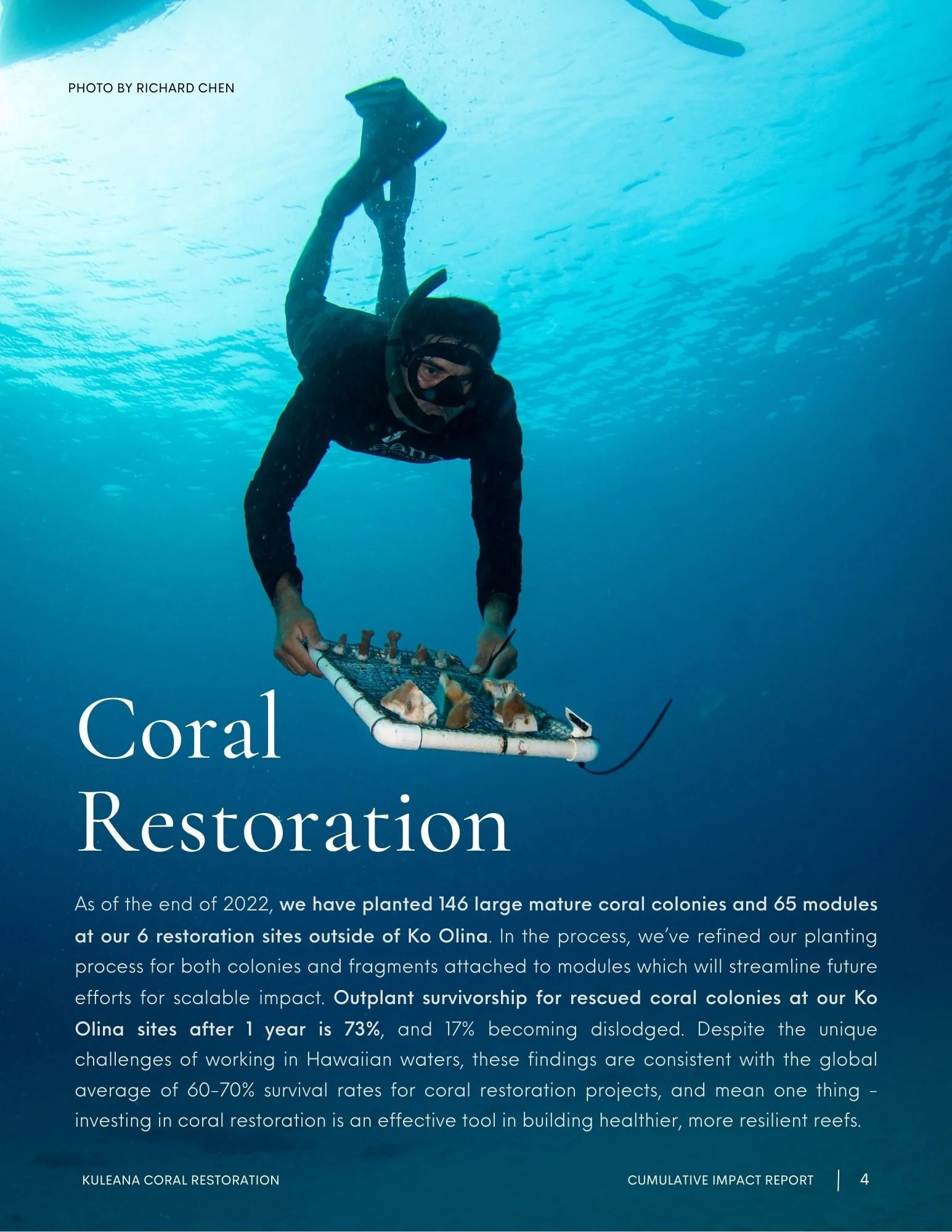 Coral Restoration