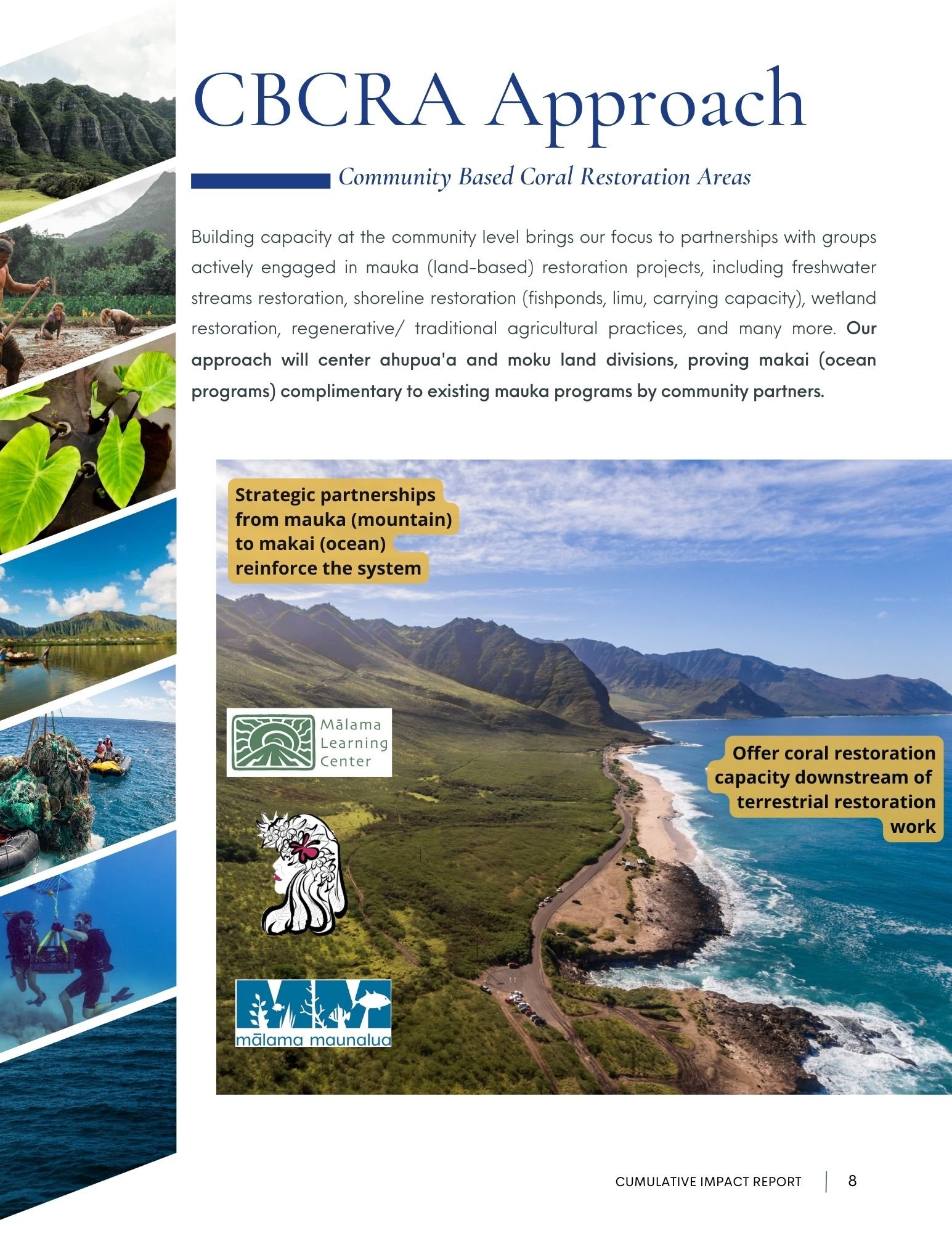 Community based coral restoration area approach