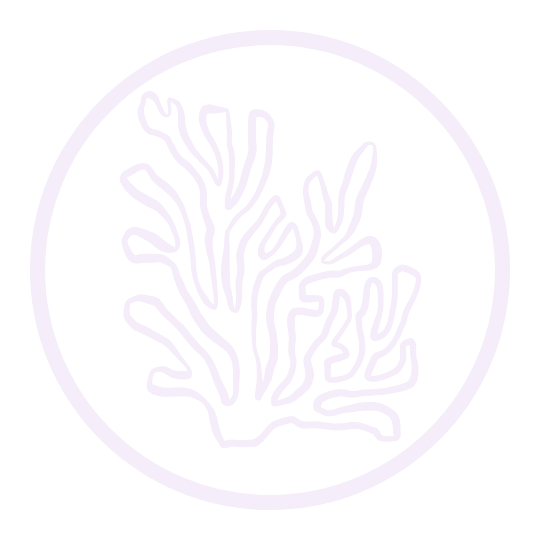 Simple graphic of coral slow growth rate