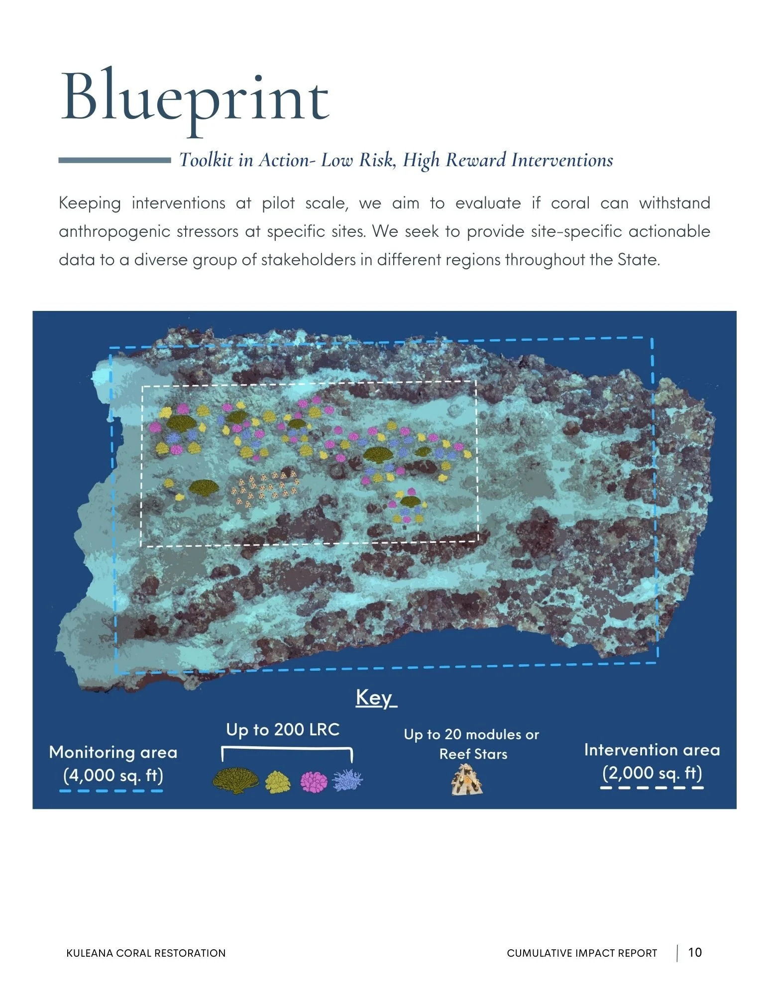 Coral restoration toolkit in action
