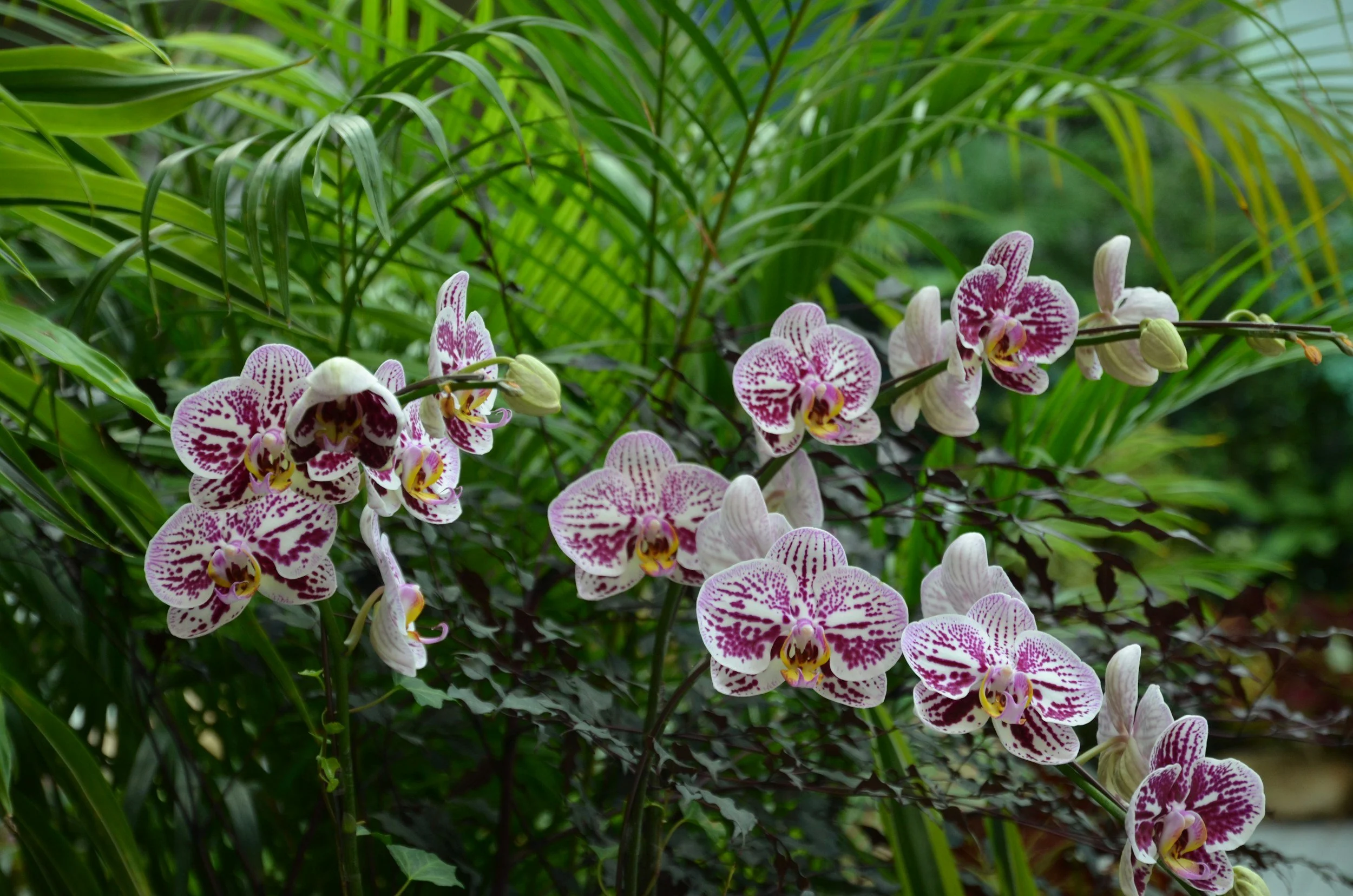 Solo Travel: The Gift of Intuition, Confidence, and Self-Discovery