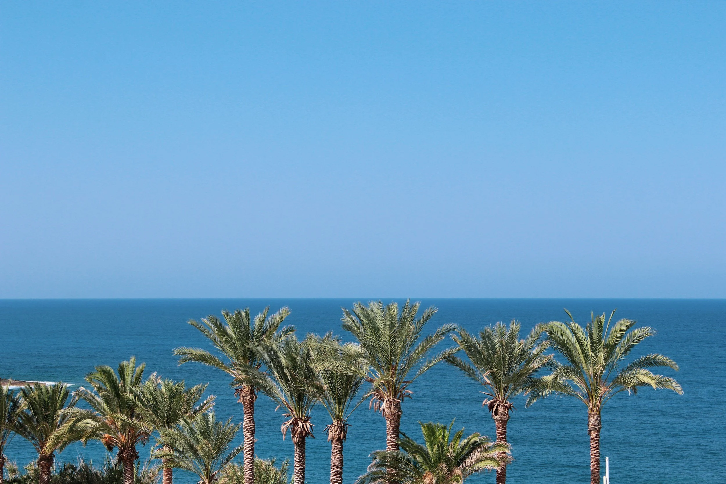 It’s all palm trees and sunshine in Paphos! 