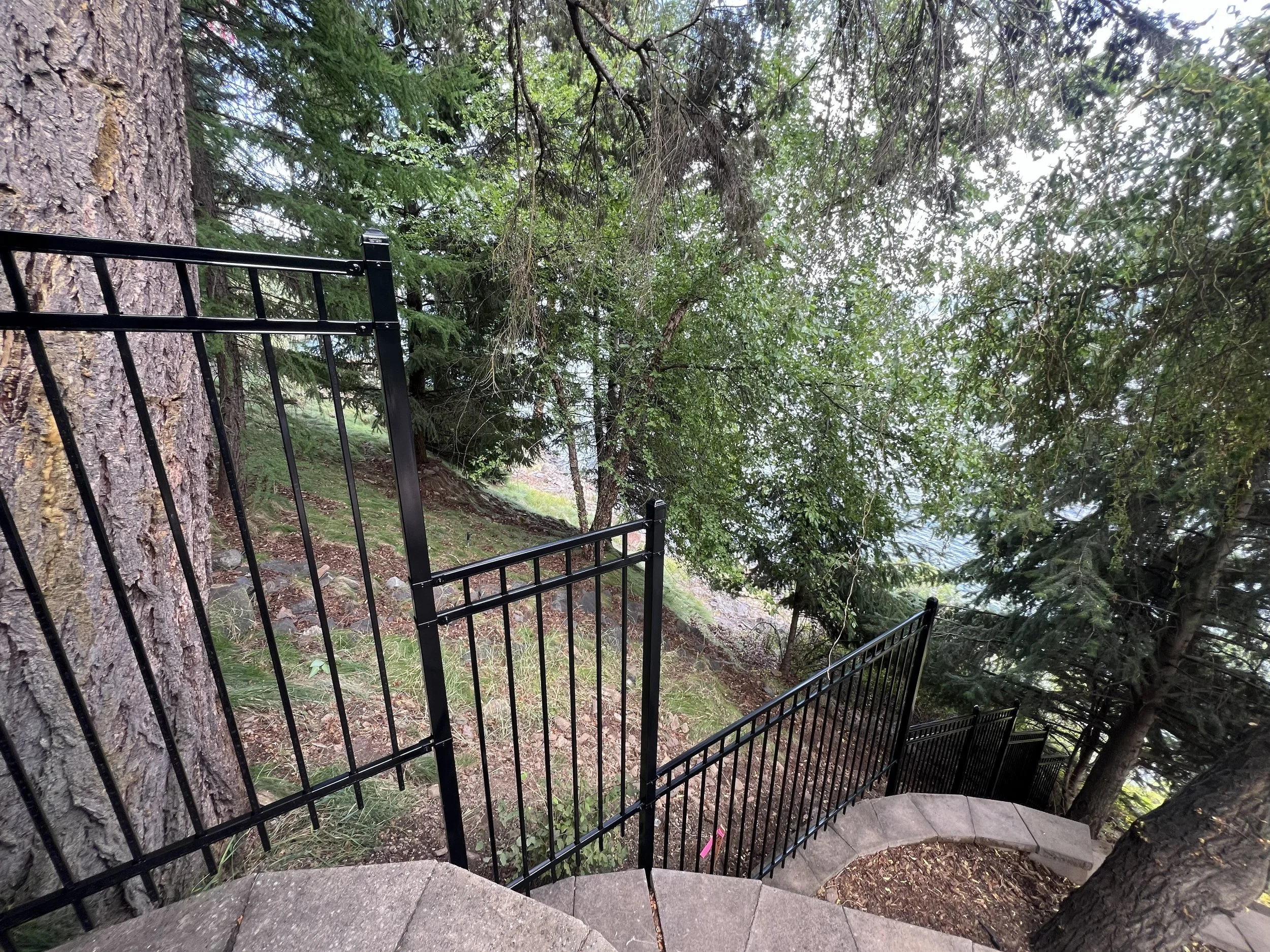 A staircase with concrete steps and black metal railing curves down a wooded hillside, surrounded by tall trees and green foliage.