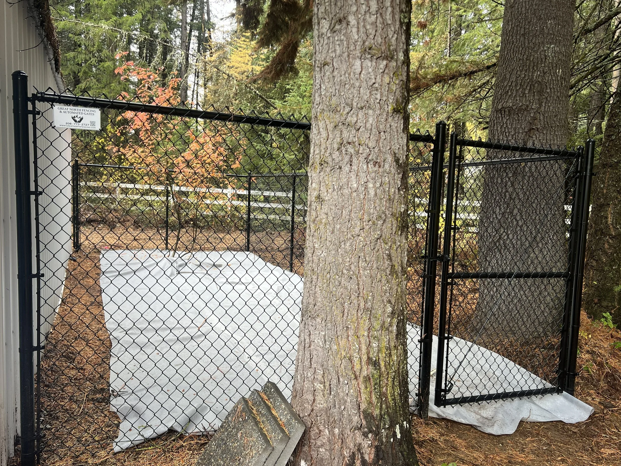 A black chain-link fence with a gate surrounds a small outdoor area with a concrete floor covered by white sheeting. Two large trees are in the background, and there is a sign at the top left corner of the fence that reads 'Great North Fencing & Auto