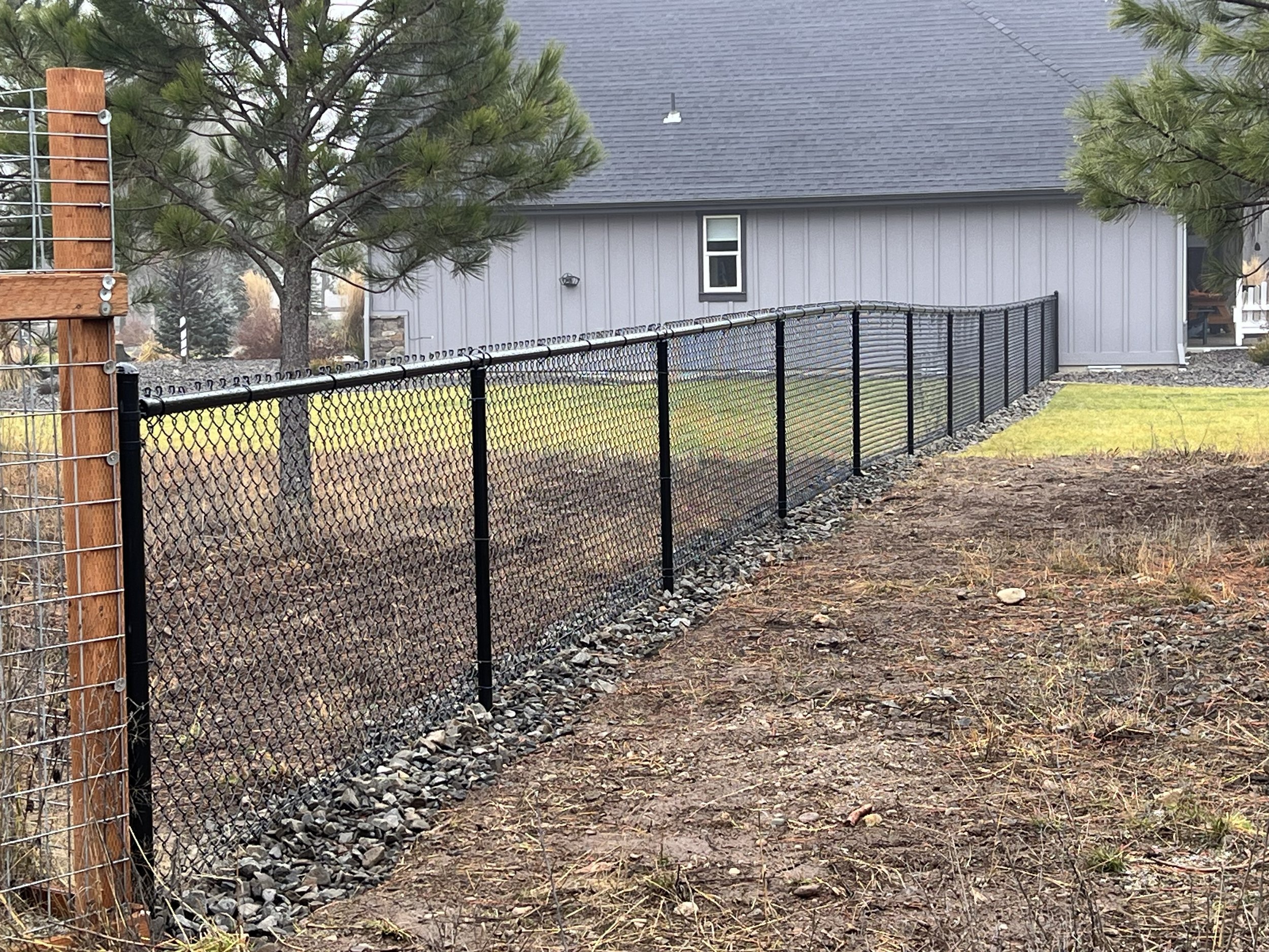 Black metal chain-link fence along a dirt yard with sparse grass, neighboring trees, and a gray house in the background.