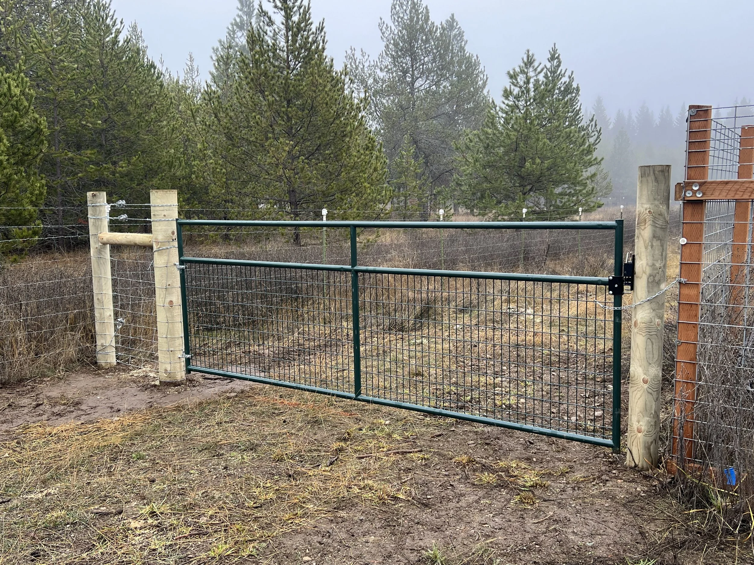 A metal gate with wire fencing on both sides, surrounded by trees and foggy weather.