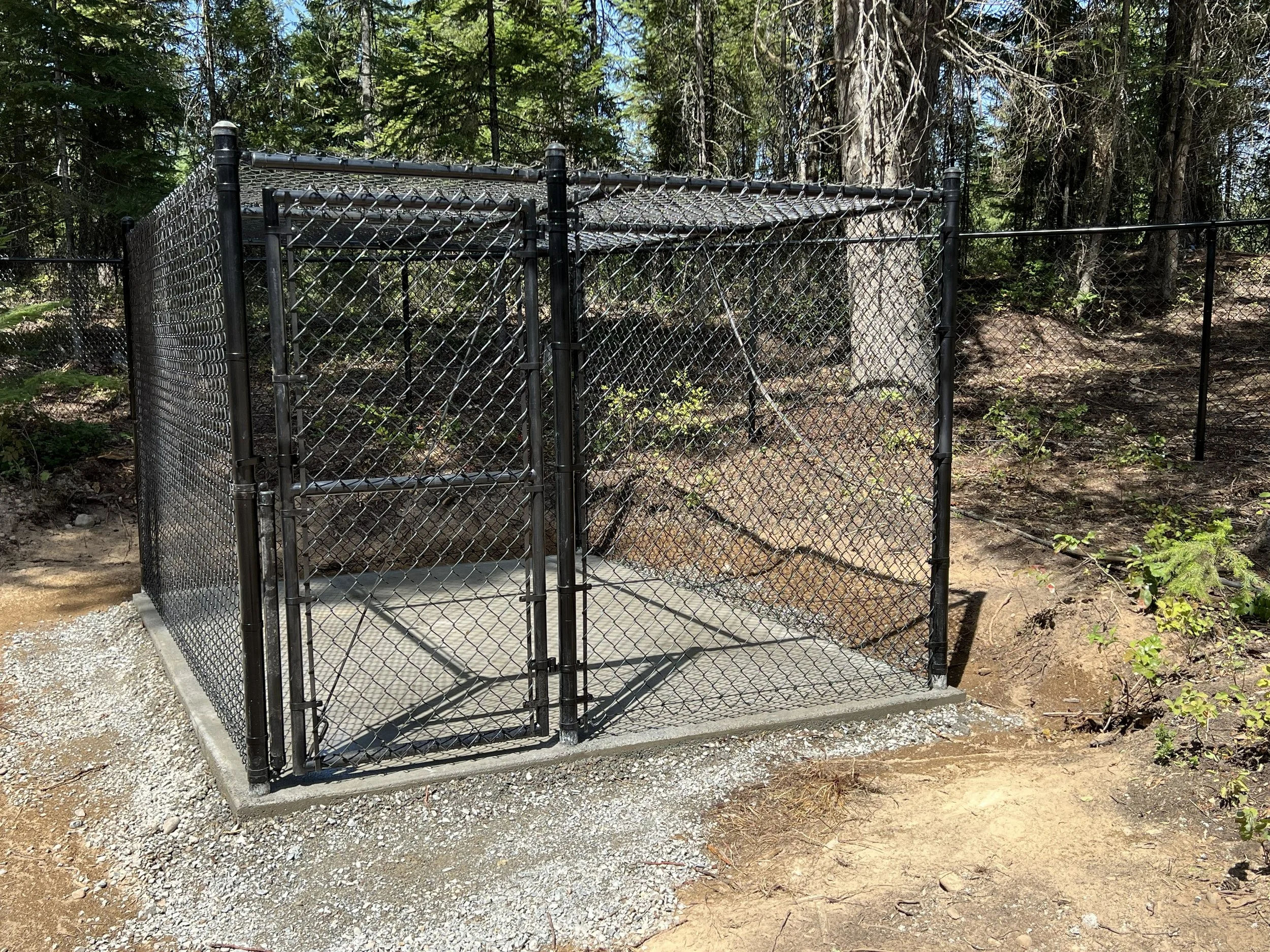 A black chain-link dog kennel with a concrete floor, situated outdoors in a wooded area with trees and dirt surrounding it.