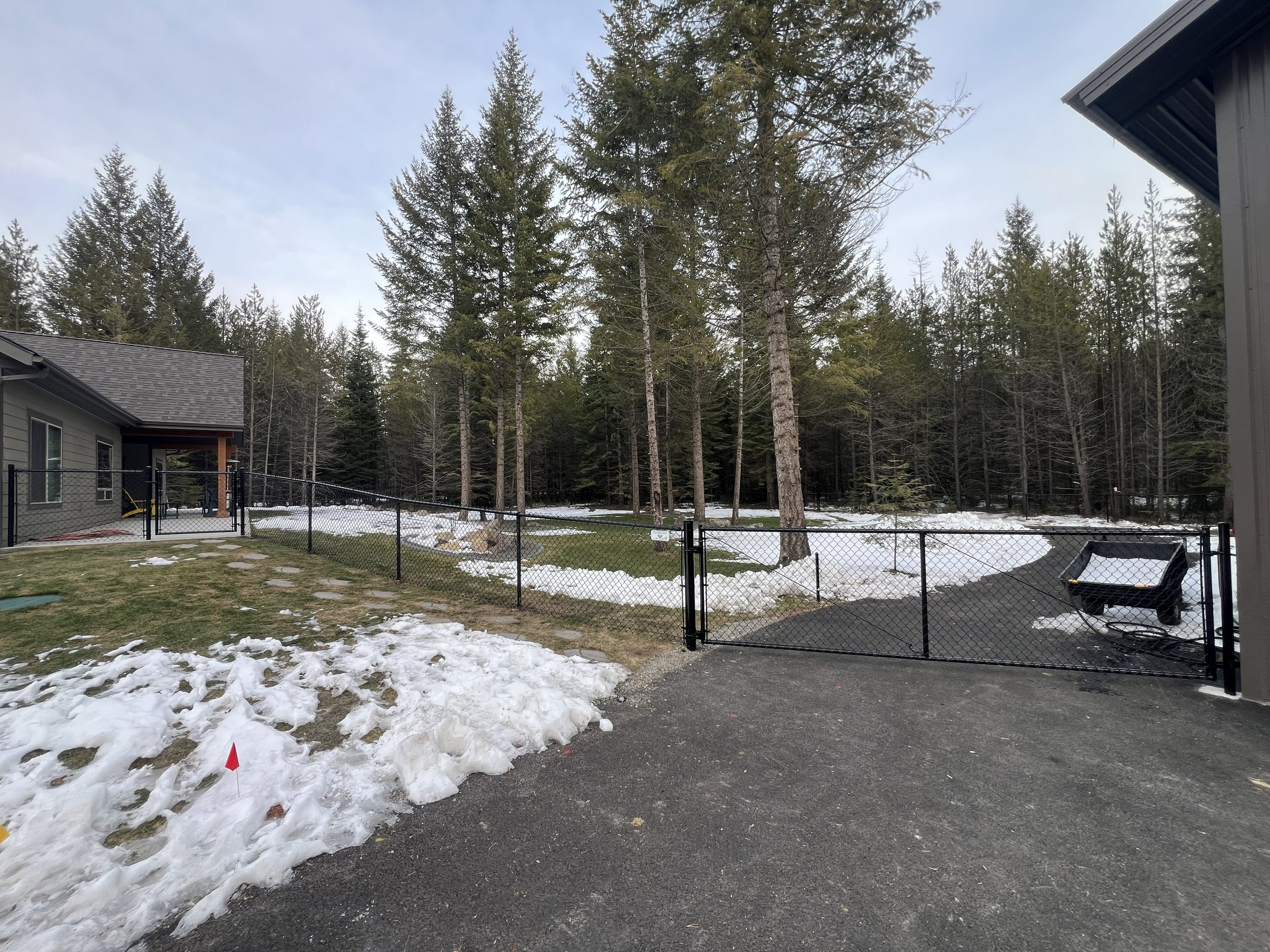 Backyard with a black chain-link fence, snow patches, a paved driveway, and tall evergreen trees in the background on a cloudy day.