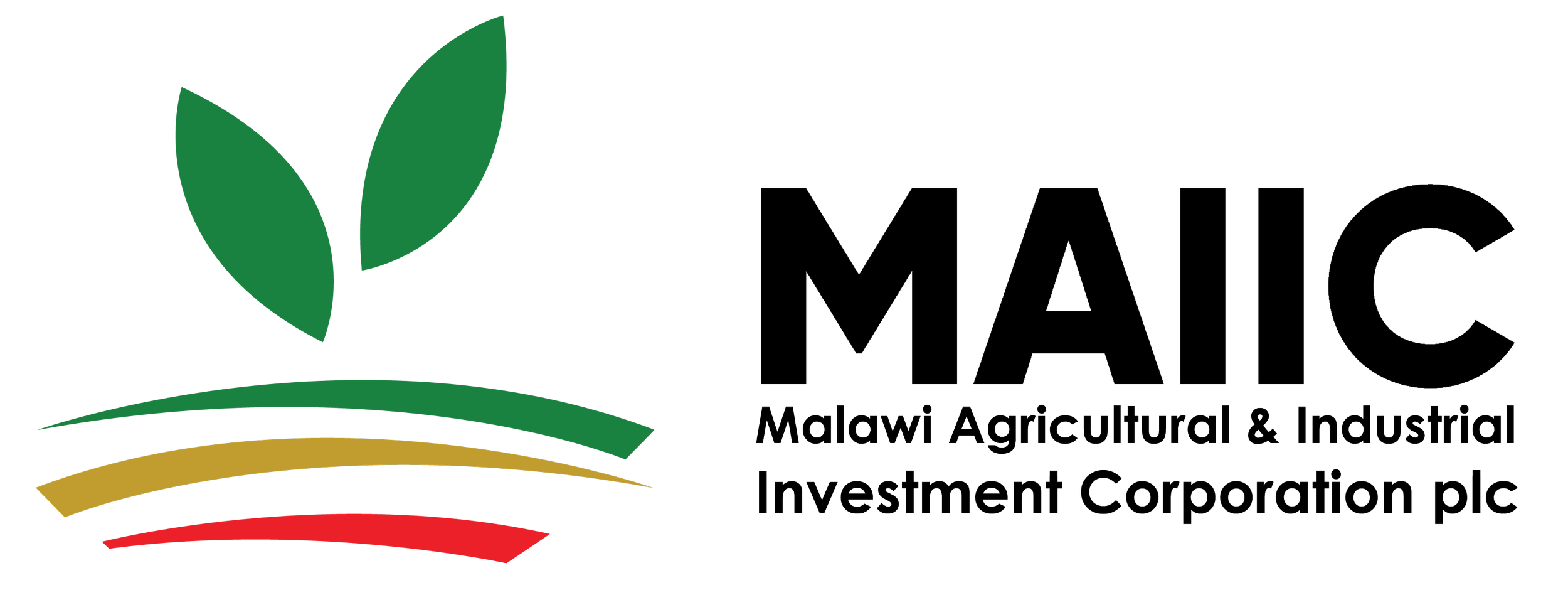 Financing Malawi’s Productive Sectors: MAIIC’s Role in Catalysing Investment