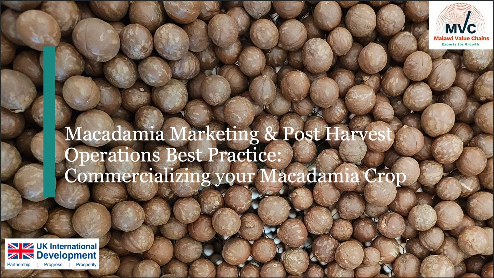 Macadamia Marketing &amp; Post-Harvest Operations Best Practice: Commercializing Your Macadamia Crop
