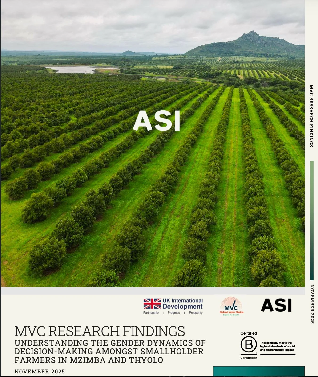 Understanding Gender Dynamics in Smallholder Farm Decision-Making: Evidence from Mzimba and Thyolo