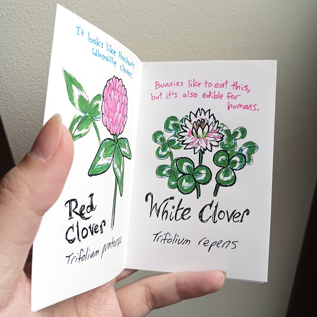 clover3.jpg