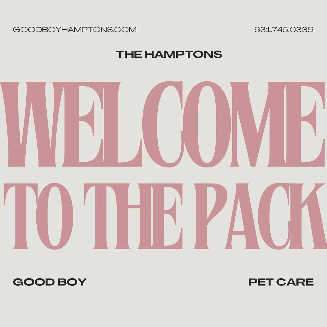 We&rsquo;re excited to grow our pack! Now accepting new pups for the winter season, check out our website for all our services 🩷🐾