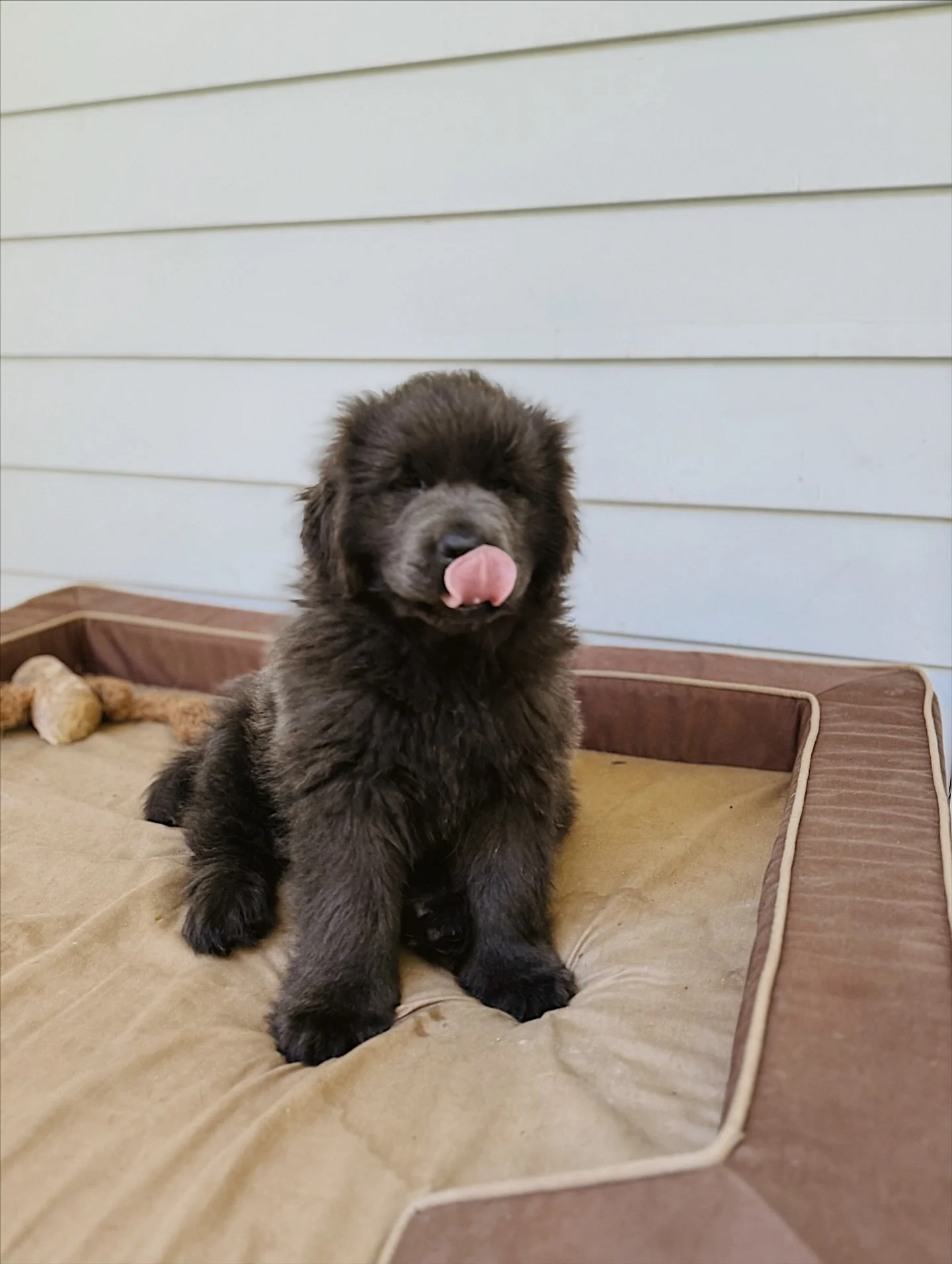 the difference a year can make 🥹🫶🏼