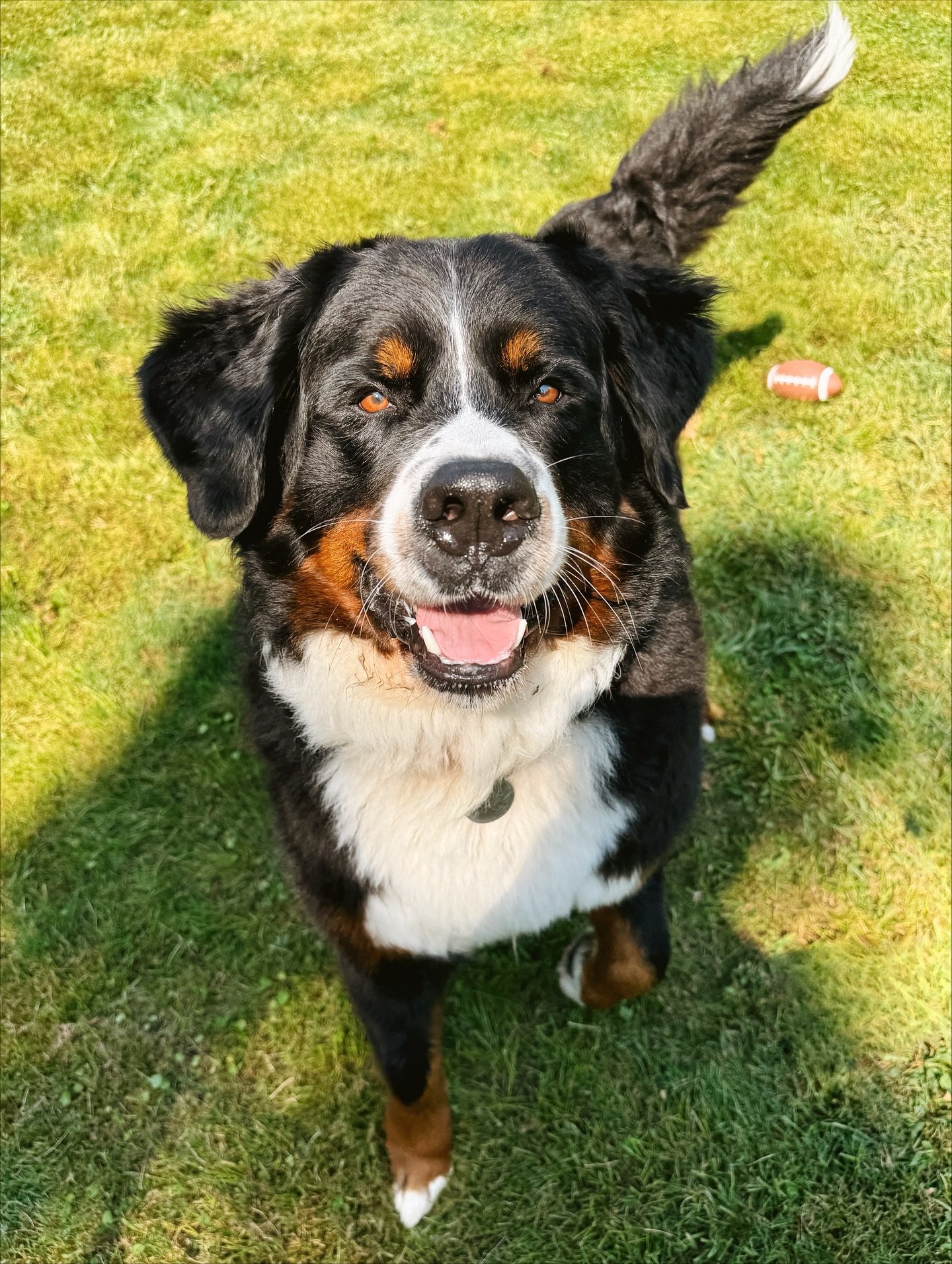 a very happy Hen 🐾