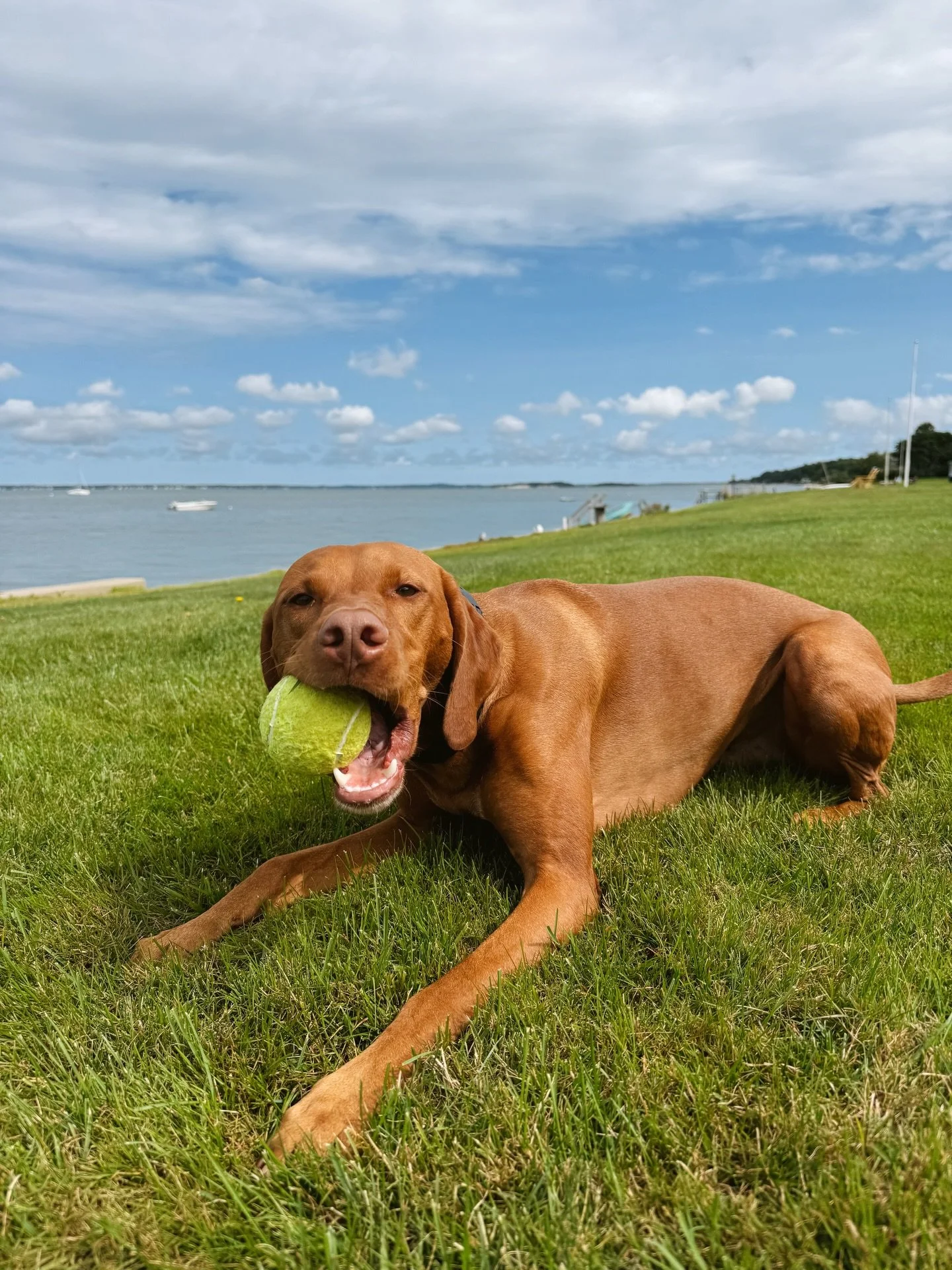 the good life 🫶🏼🎾