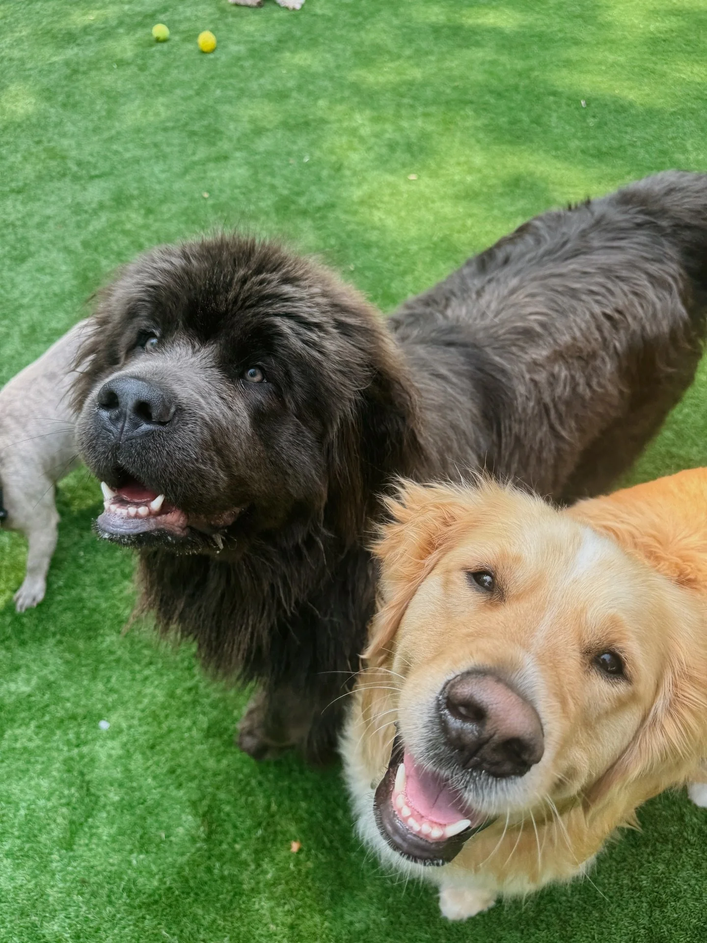 daycare besties 🫶🏼