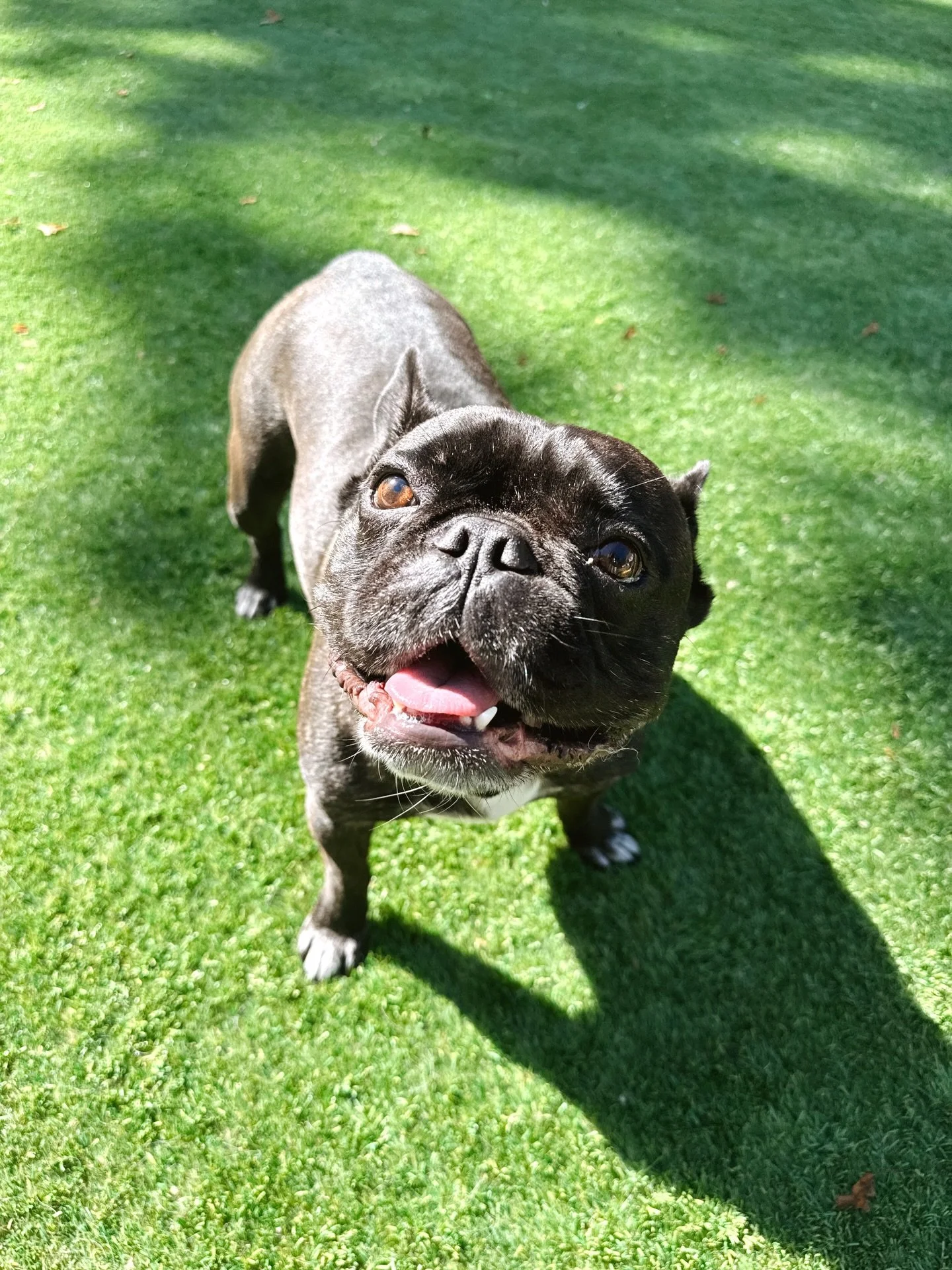 always the sweetest smiles from moose 🤗💕