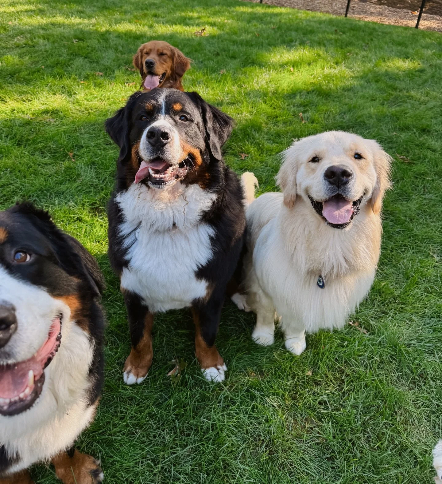 Swipe to see the cutest daycare besties ➡️