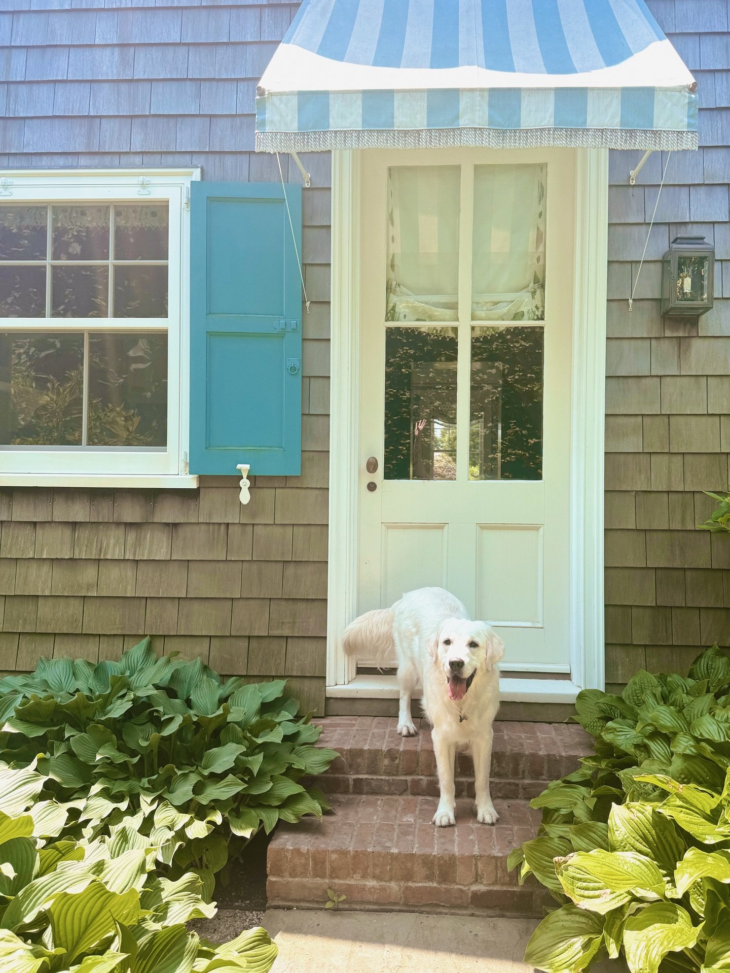 officially defrosted &amp; ready for spring 🌼
summer bookings are open &mdash; come join the pack 🐾