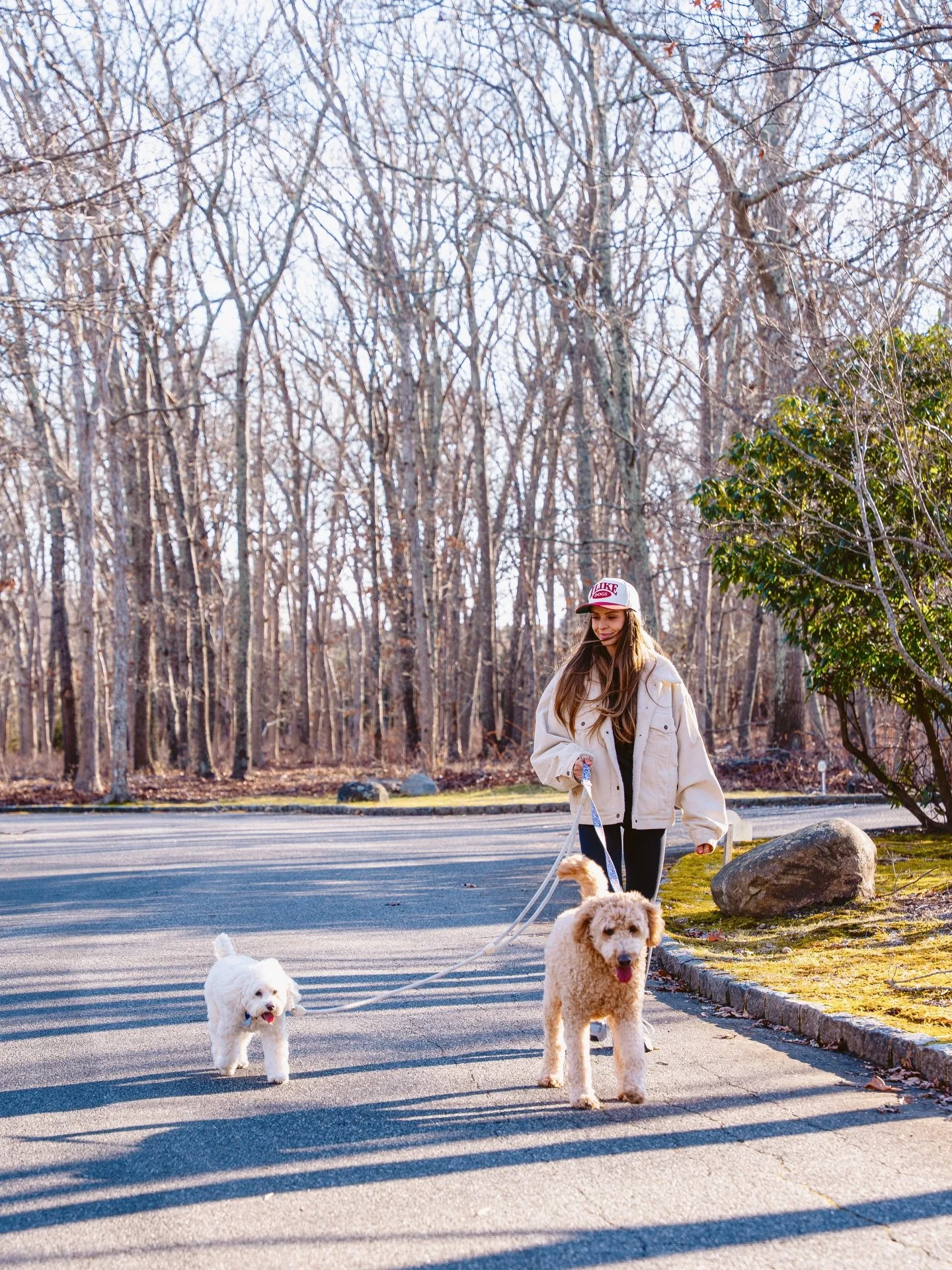 we don&rsquo;t just do daycare + boarding &mdash; we walk too 🐾 pack walks + one-on-ones available at the link in bio