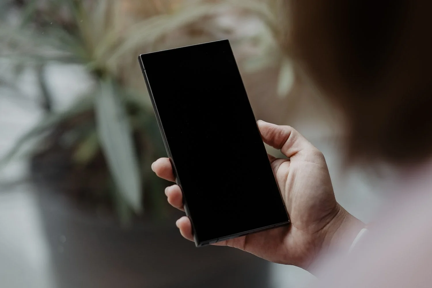 Eine Person hält ein schwarzes Smartphone in der Hand, der Bildschirm ist schwarz, im Hintergrund Pflanzen, vermutlich in einem Innenraum.