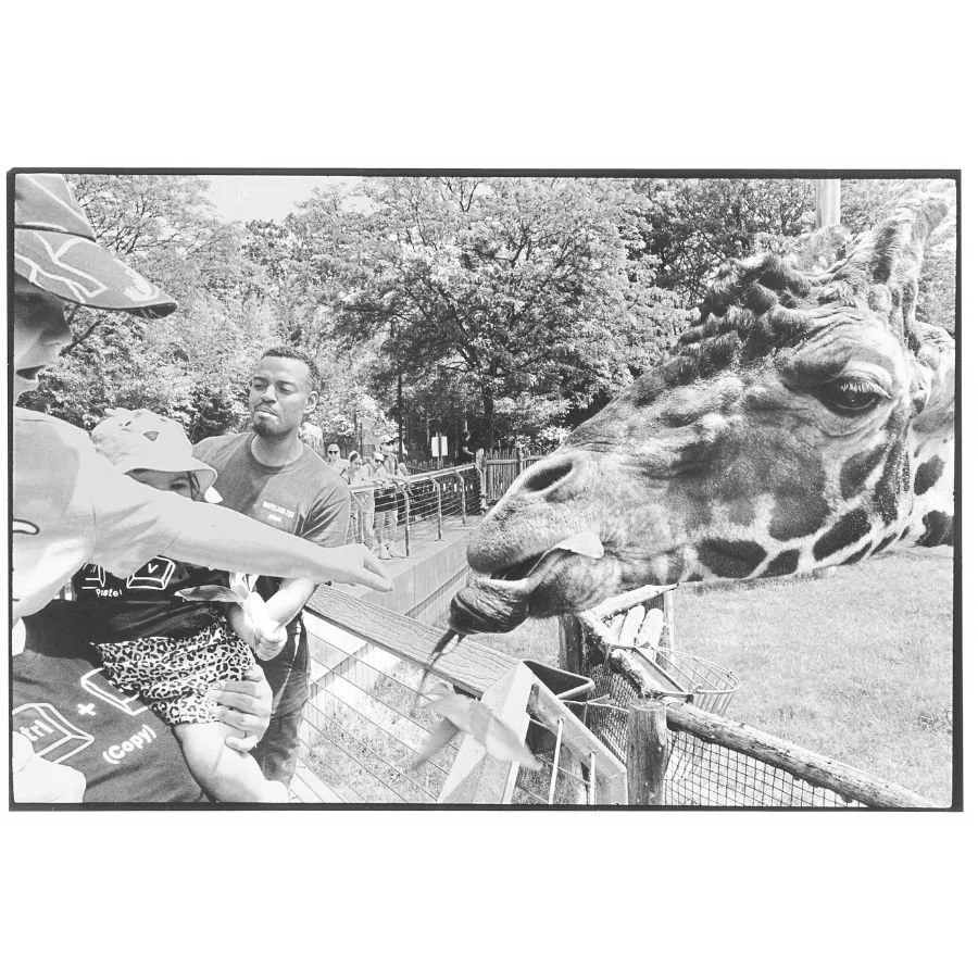 Robert Forlini - Maryland Zoo