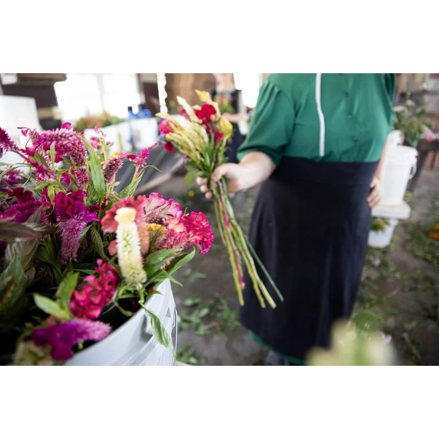 Jenny Schulder - Blooms