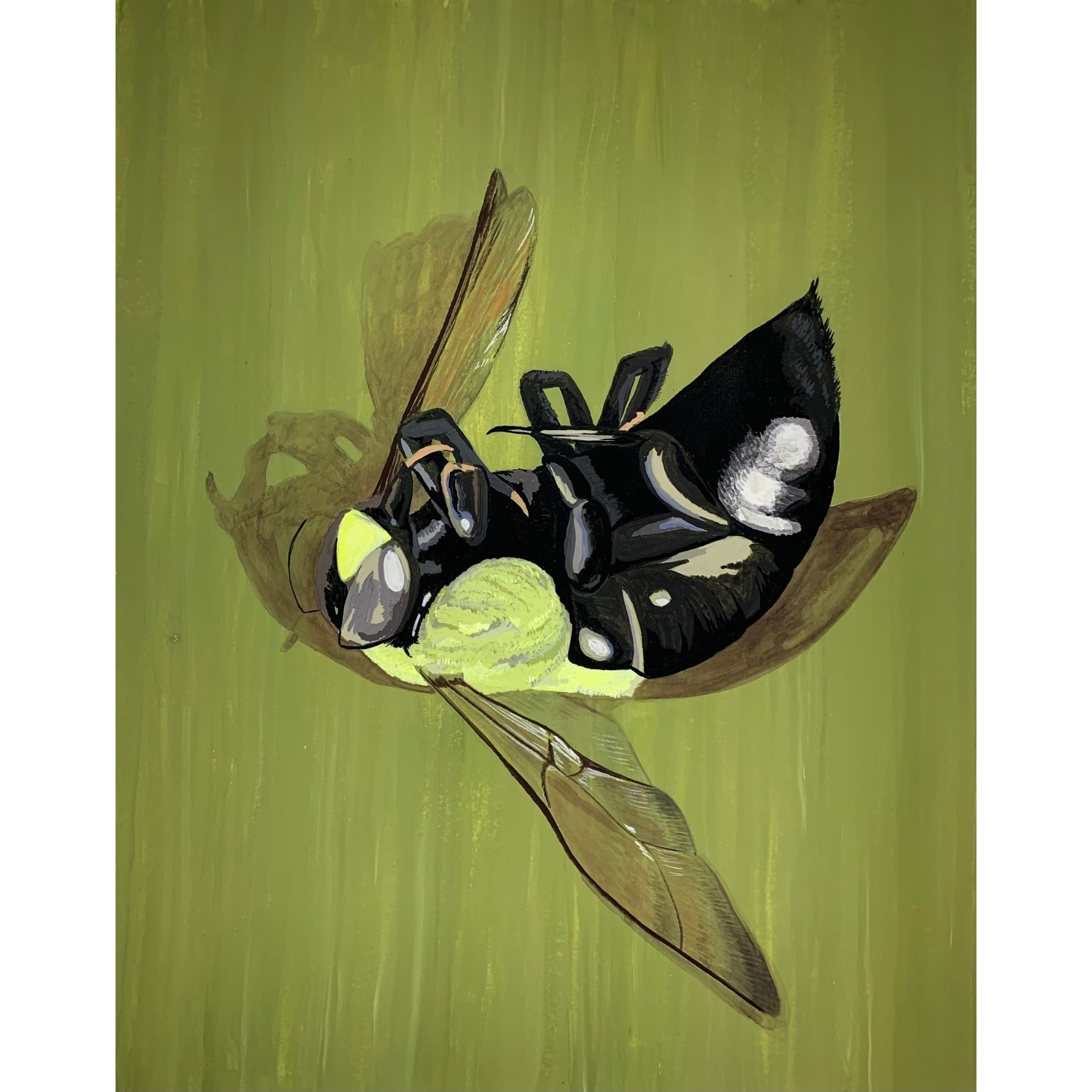 Gregory Snader - Bumblebee Delp 0501