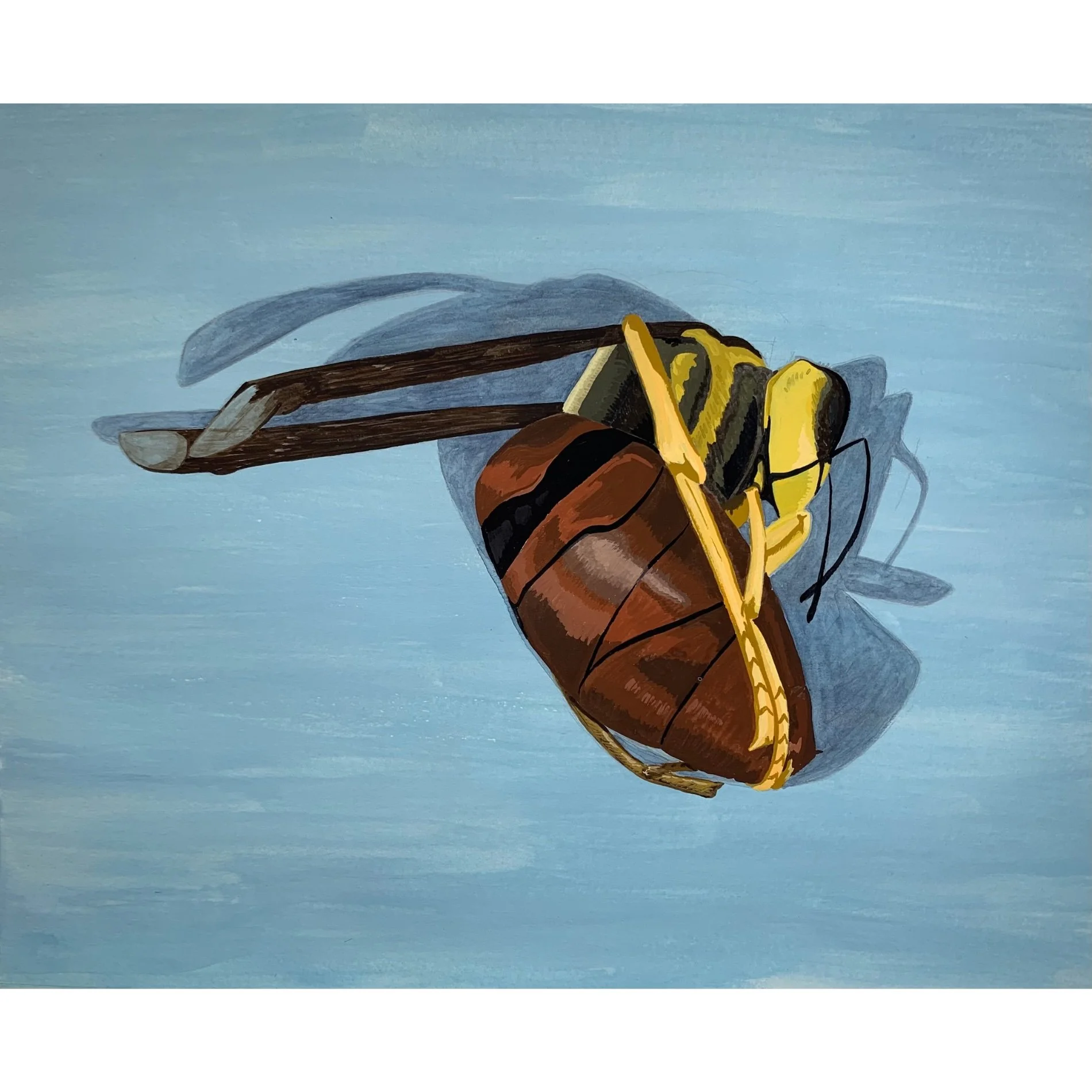 Gregory Snader - Southern Yellowjacket Coventry 0429