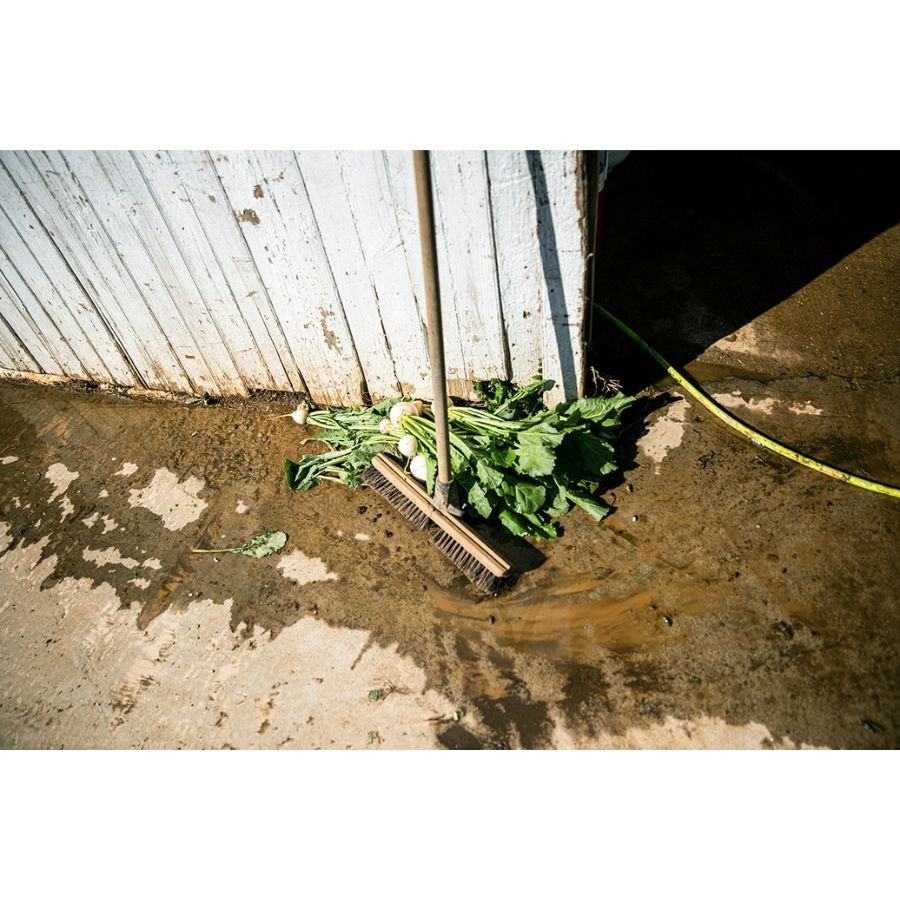 Jenny Schulder - Turnip and Broom